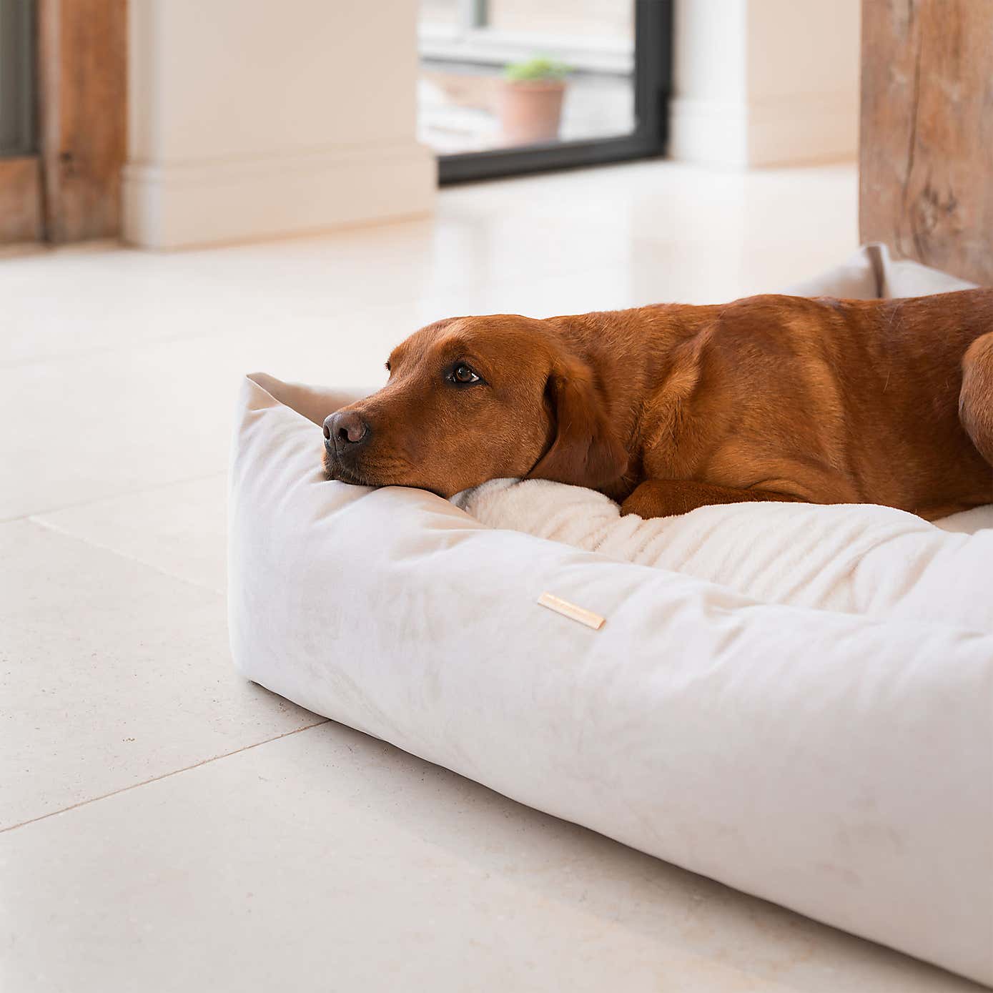 Lords and Labradors Velvet Box Dog Bed