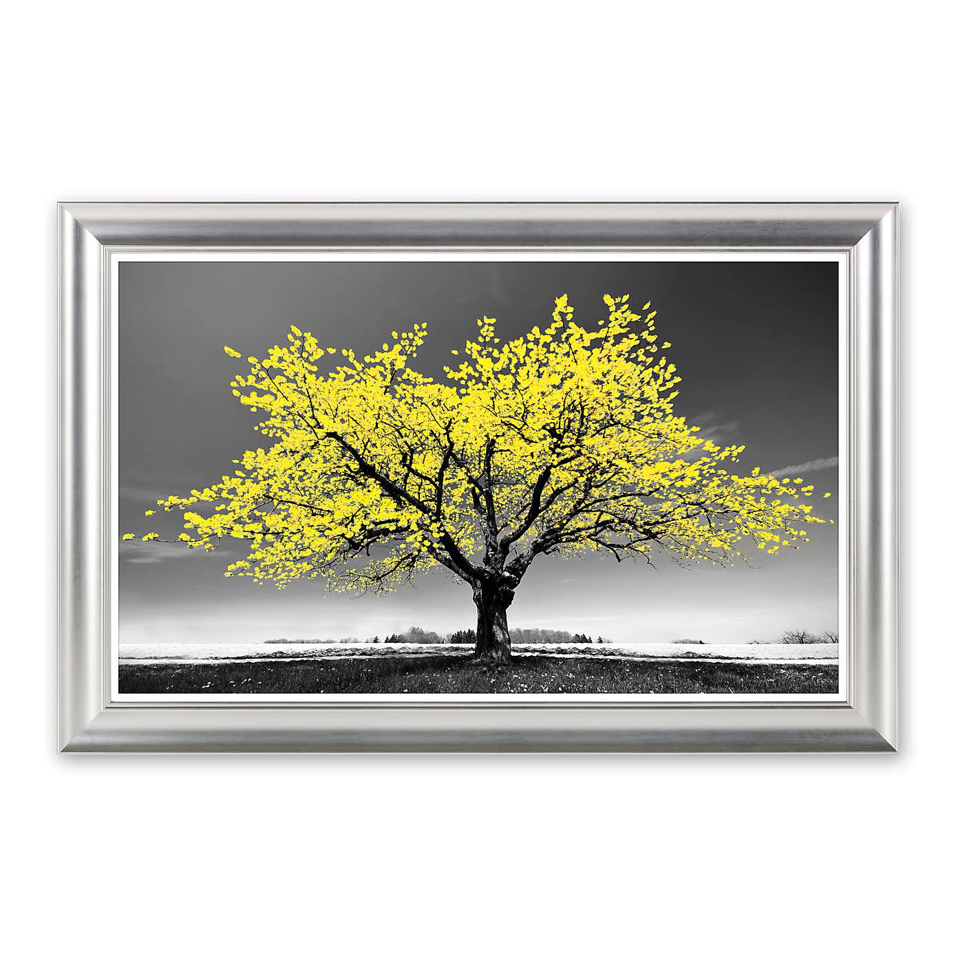 Blossom Tree Yellow by Peter Wey Framed Print