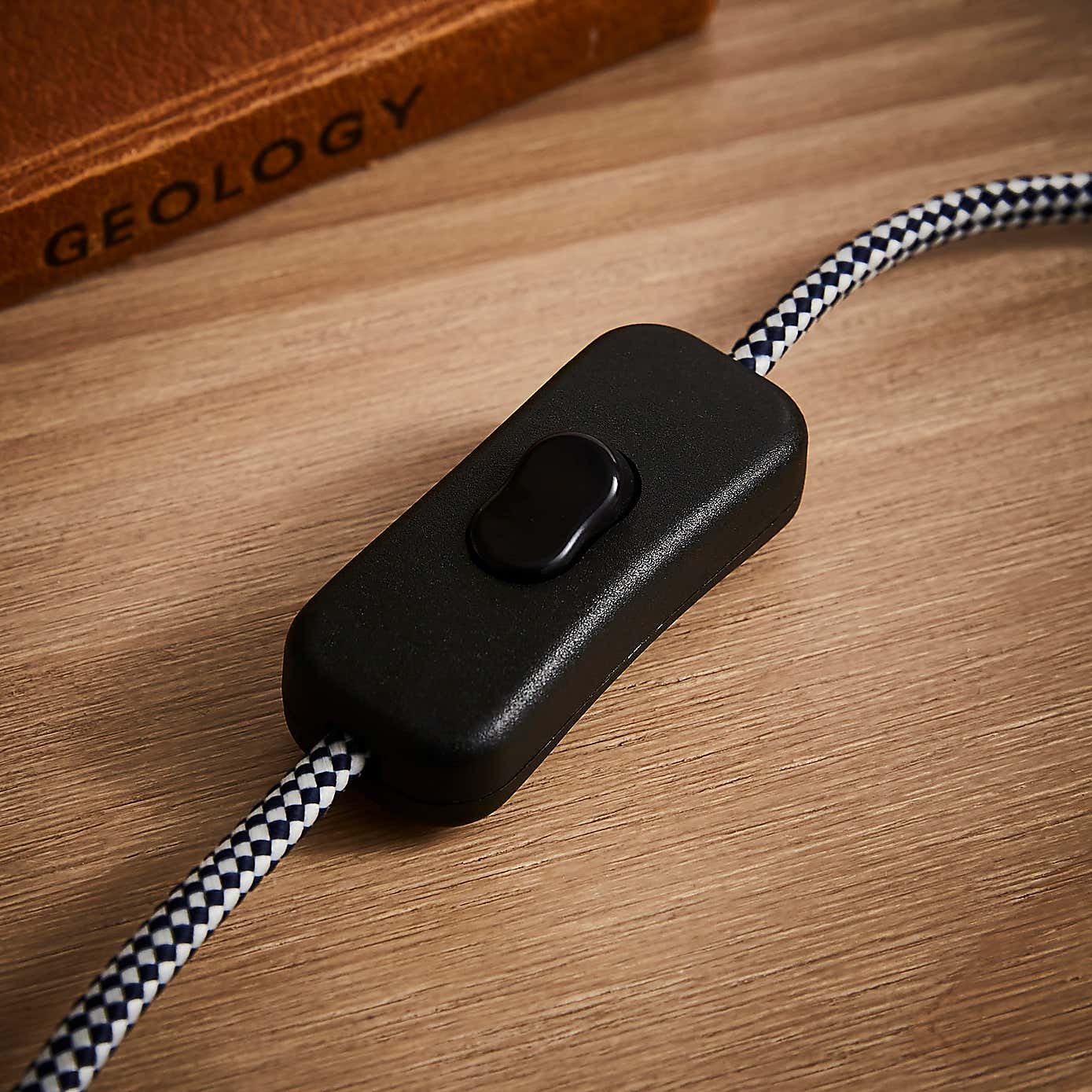 Dinosaur Metal Wall Light