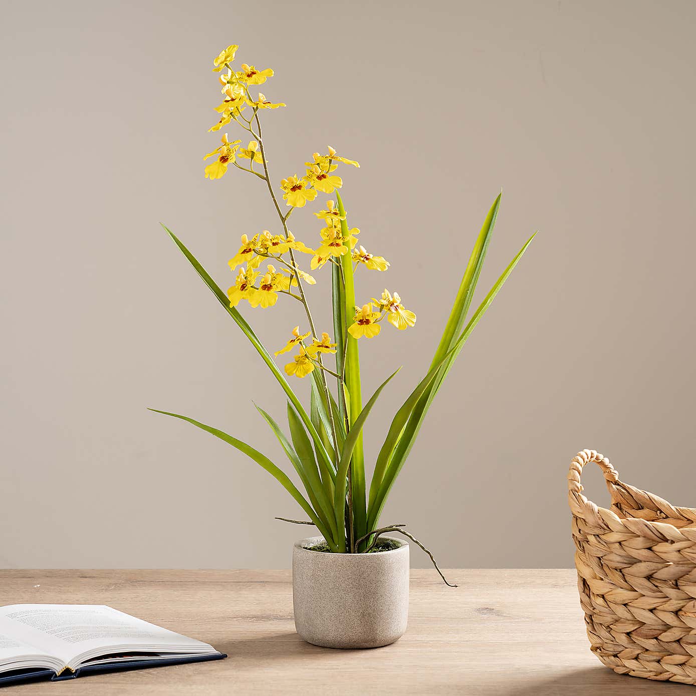 Artificial Real Touch Yellow Oncidium Orchid Spray in Cement Pot