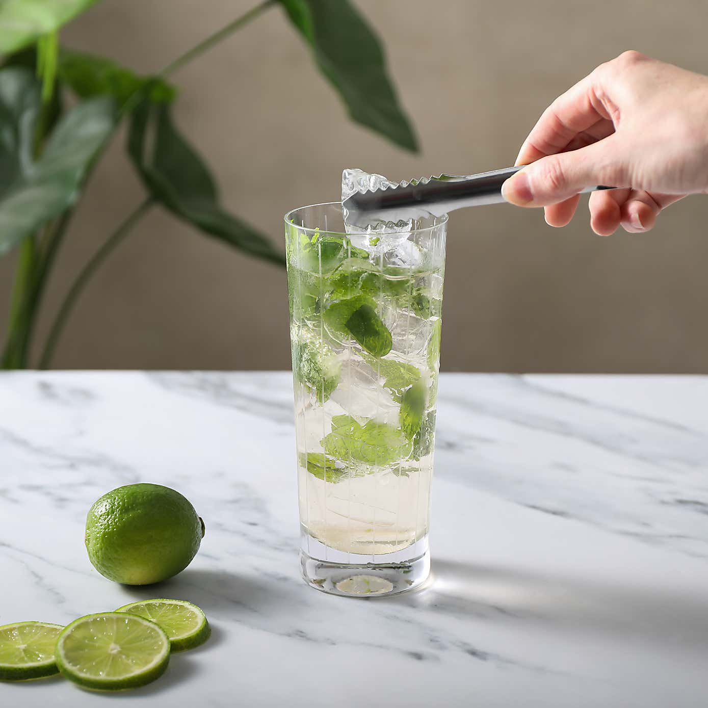 Stainless Steel Ice Tongs