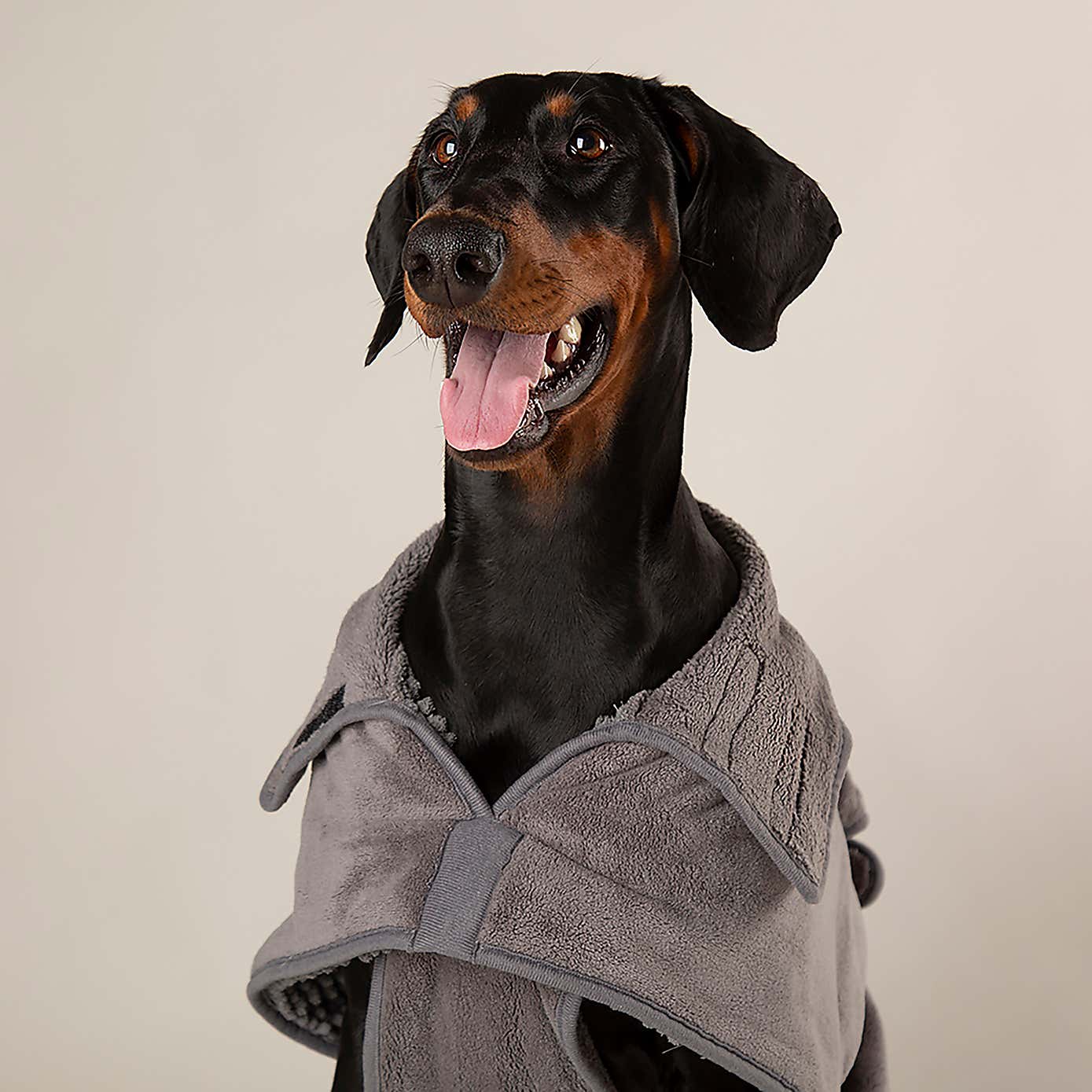 Scruffs Expedition Dog Drying Robe