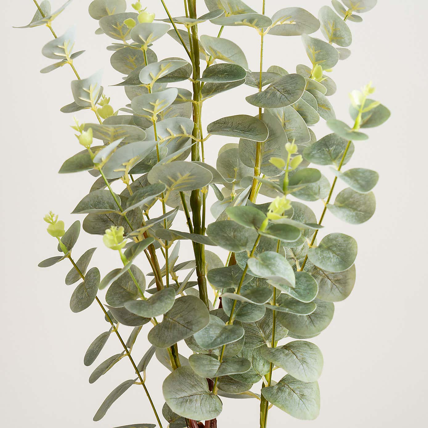 Artificial Eucalyptus Tree in Black Plant Pot