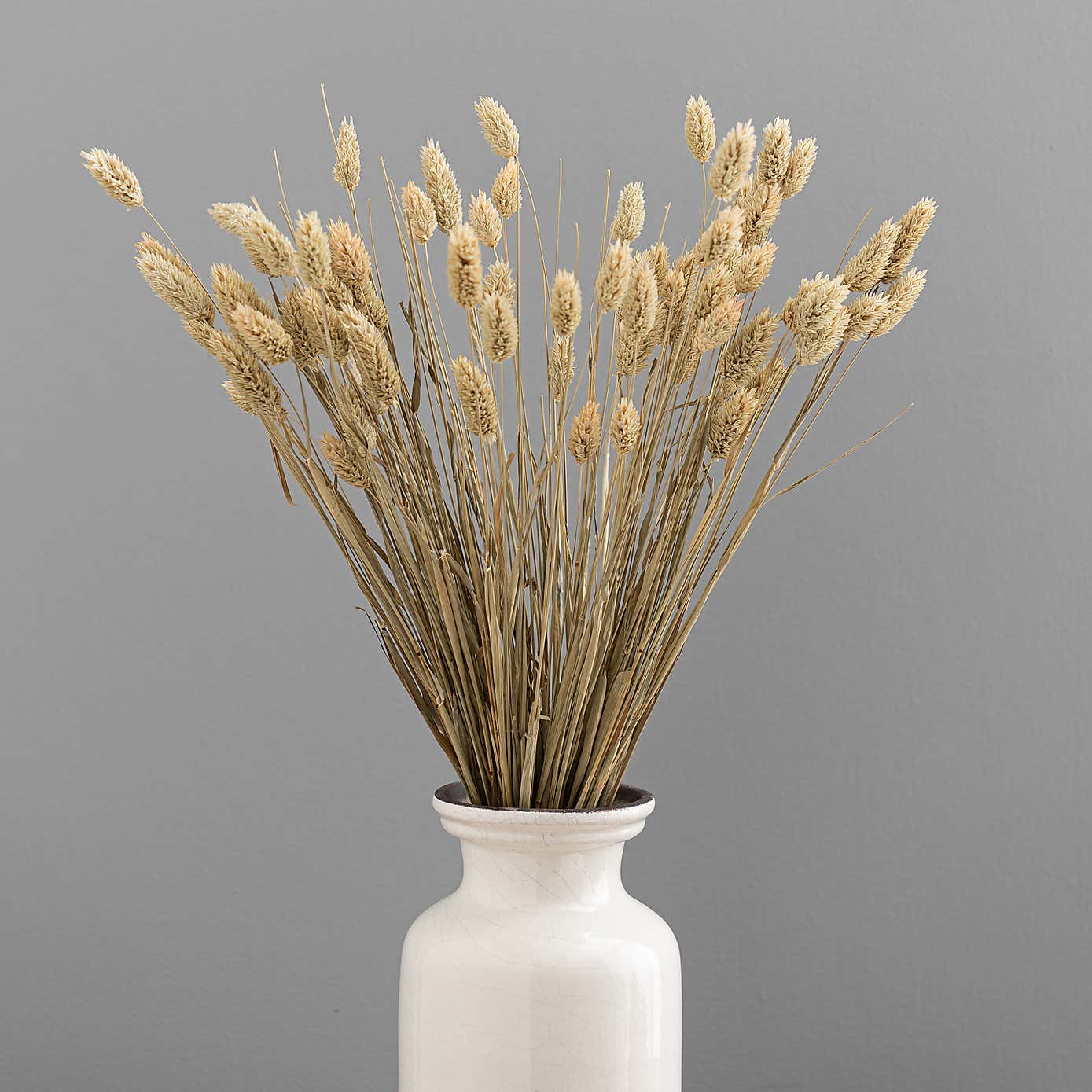 Dried Phalaris Bouquet