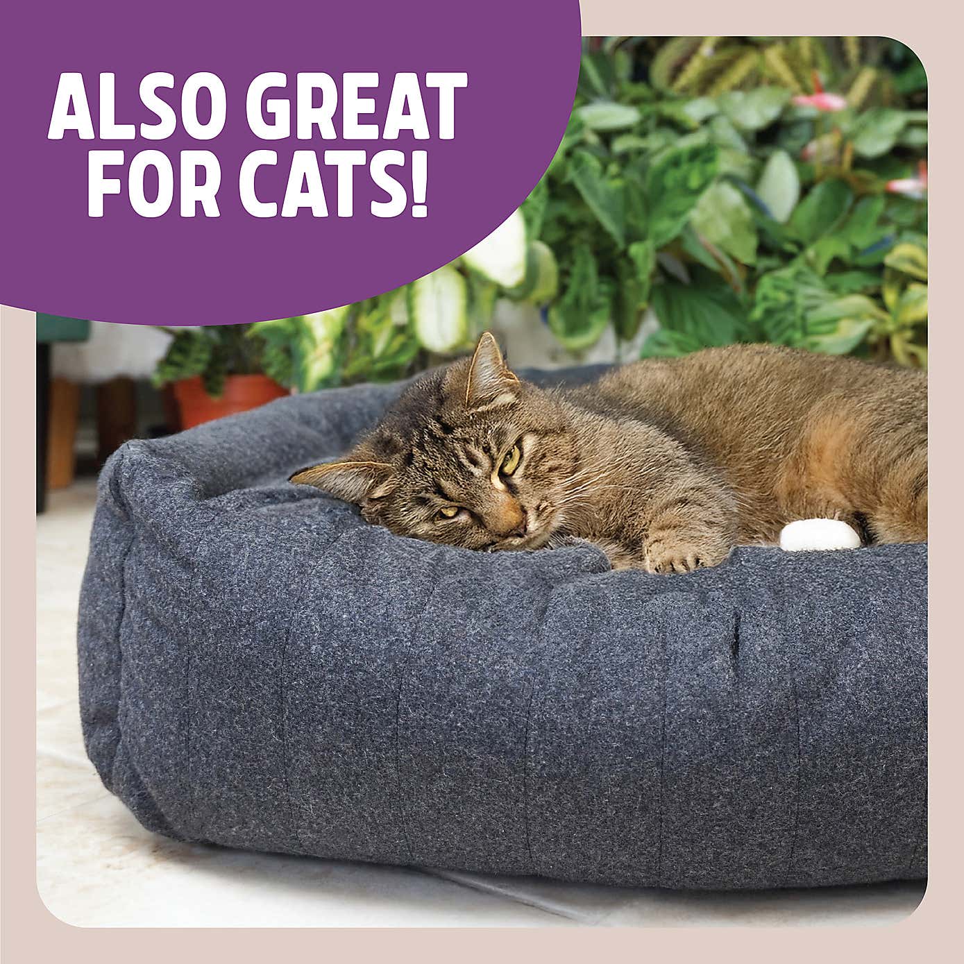 Rosewood Felt Grey Support Pet Bed