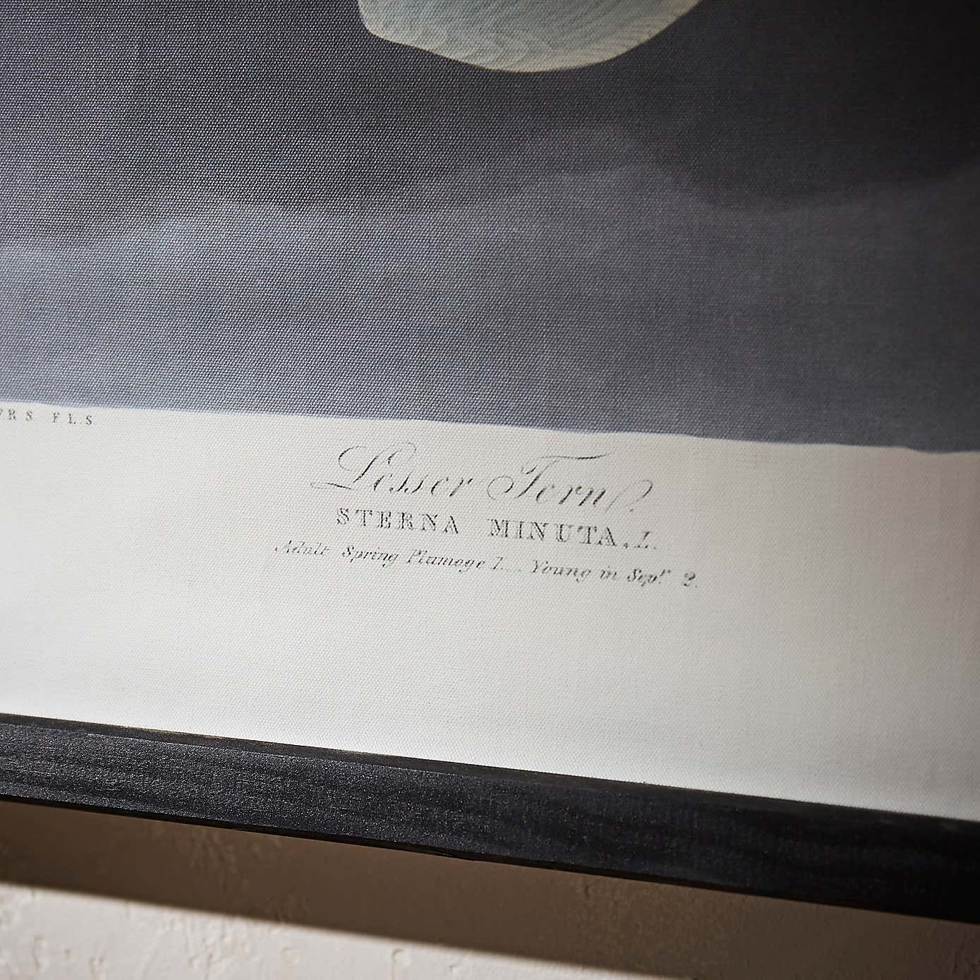 Birds Hanging Canvas 85cm x 62cm