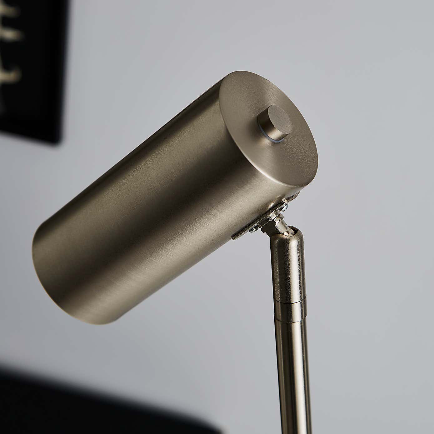 Lilou Integrated LED Dimmable Floor Lamp