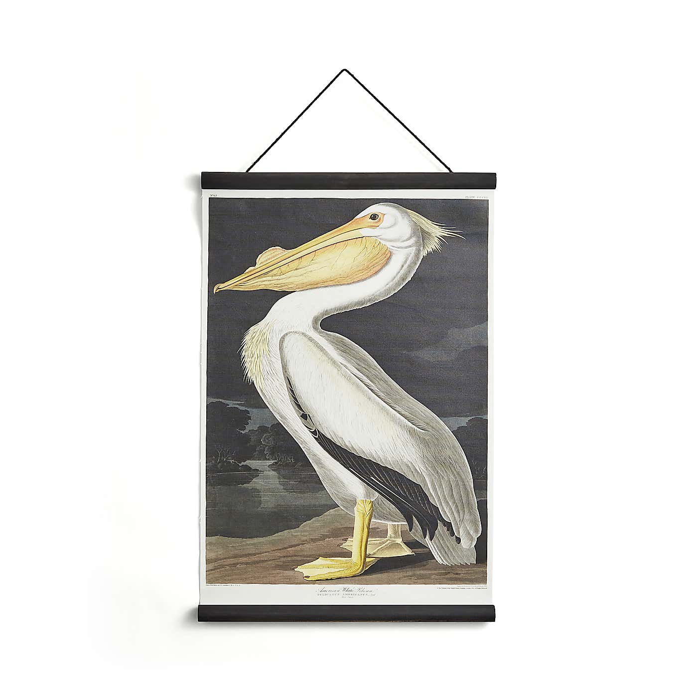 Pelican Hanging Canvas 63cm x 43cm