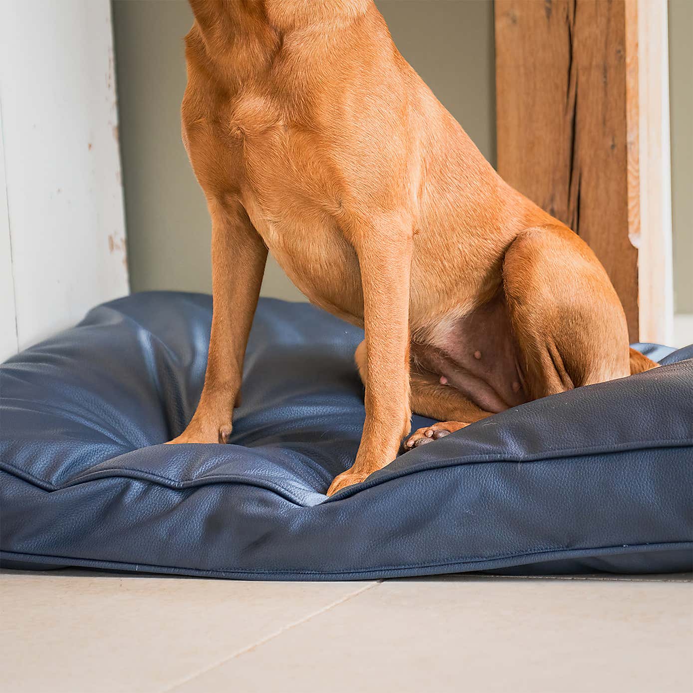 Lords and Labradors Rhino Leather Dog Cushion with Handles