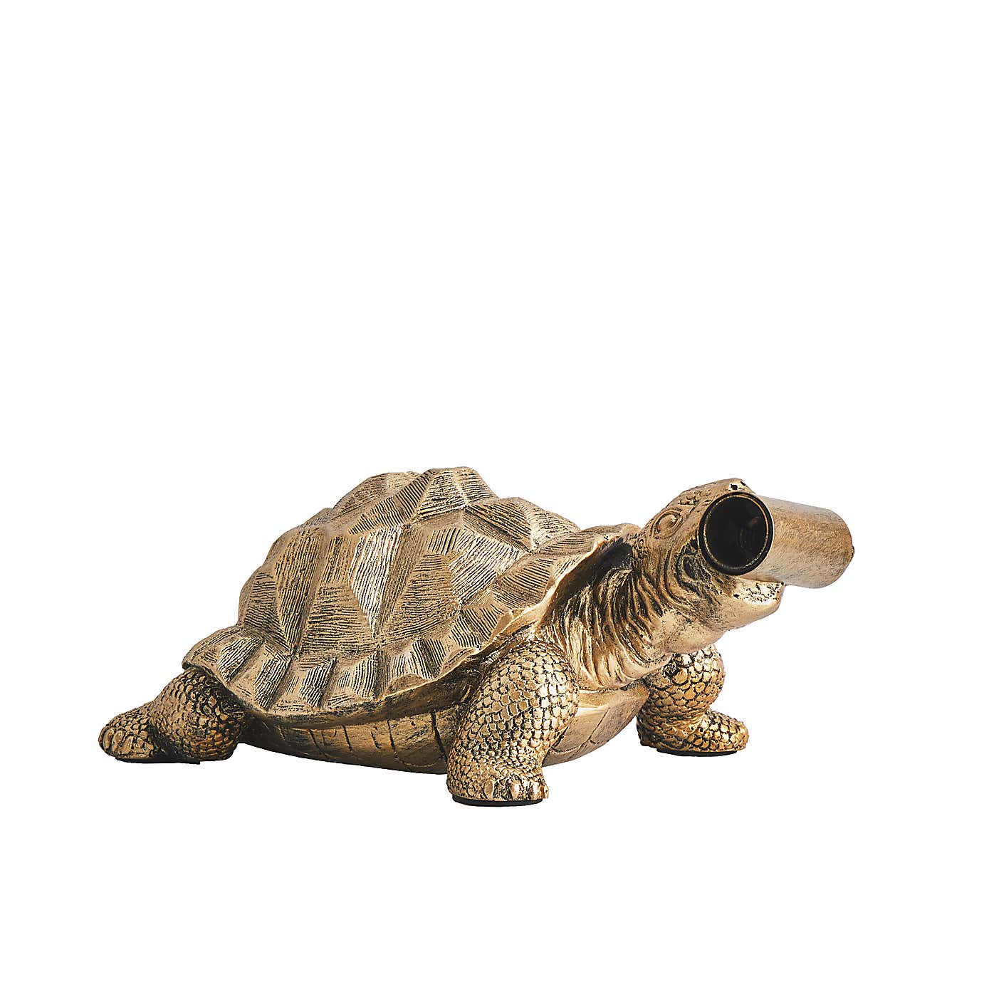Tafari Tortoise Table Lamp