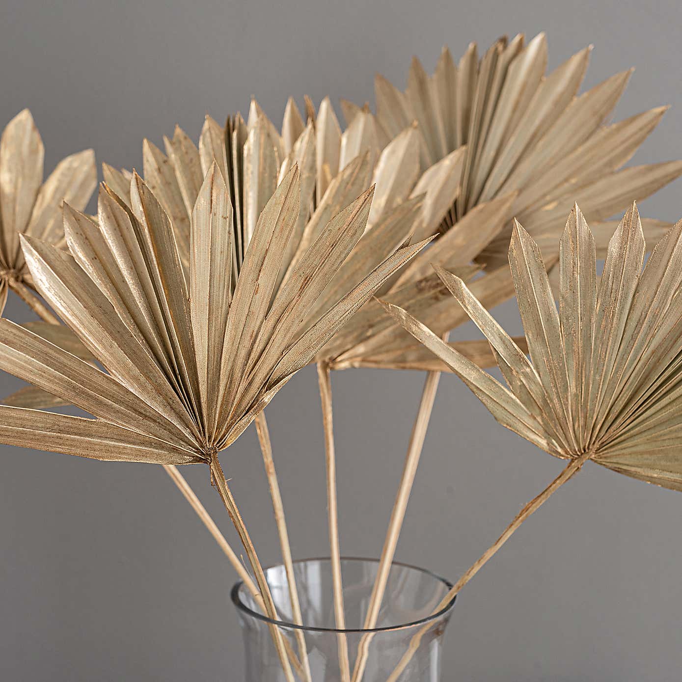 Dried Gold Sun Spear Bundle