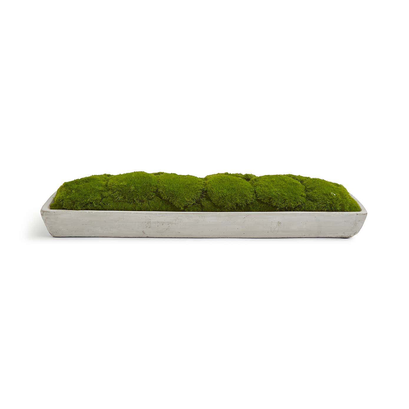 Artificial Moss in Cement Tray
