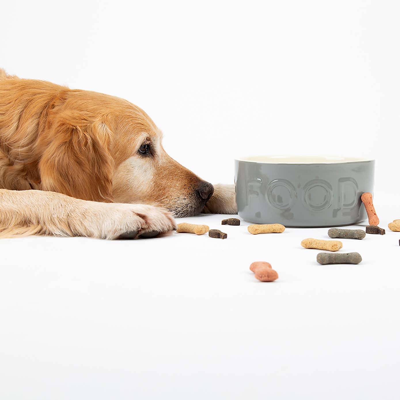 Scruffs Set of 2 Large Grey Food and Drink Dog Bowls