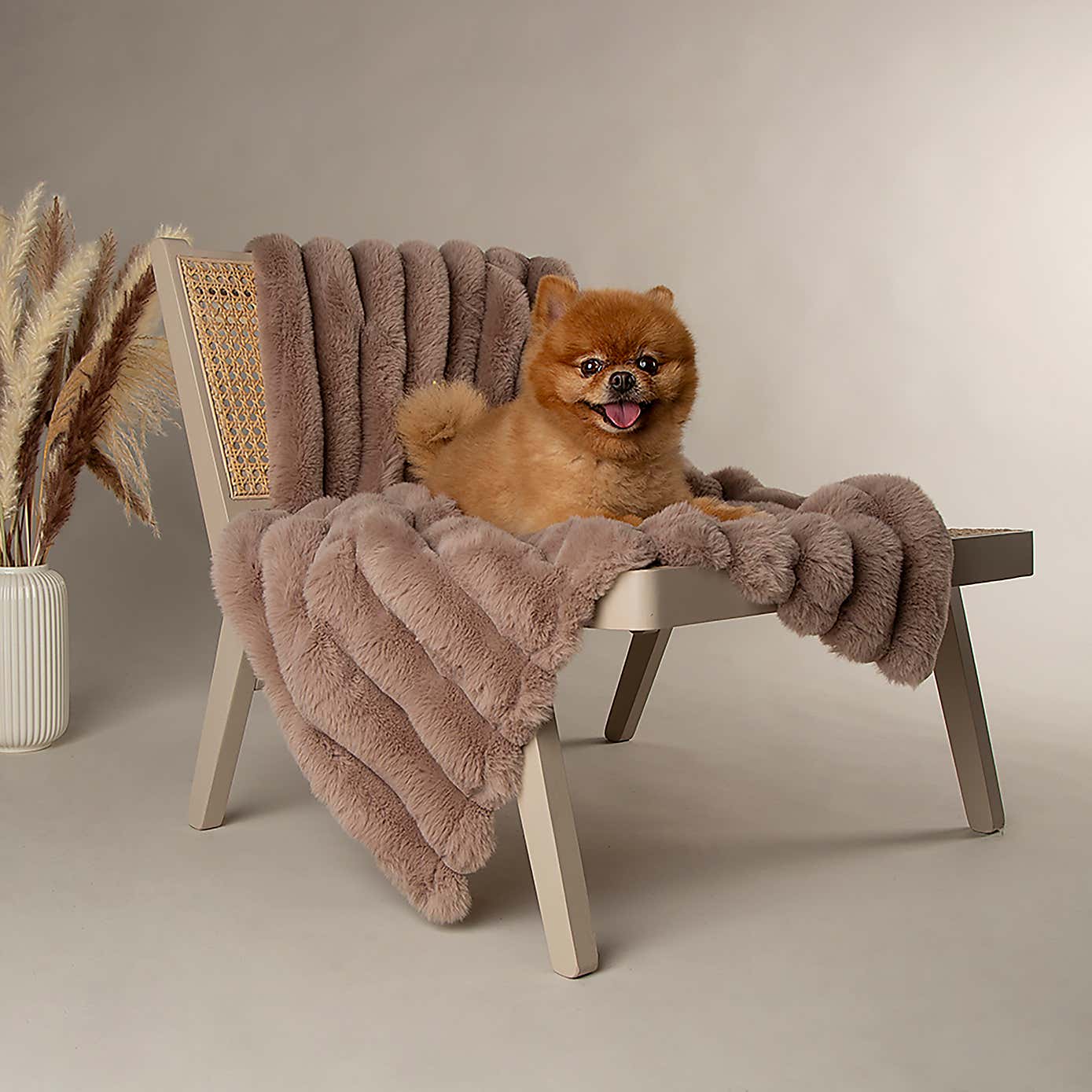 Scruffs Luxurious Aspen Pet Blanket