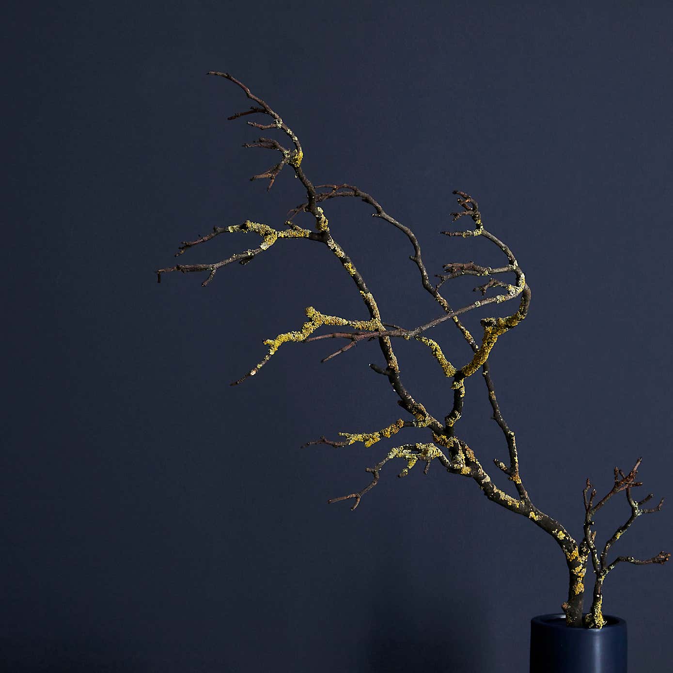 Dunelm Luxe Navy Matt Emulsion Paint