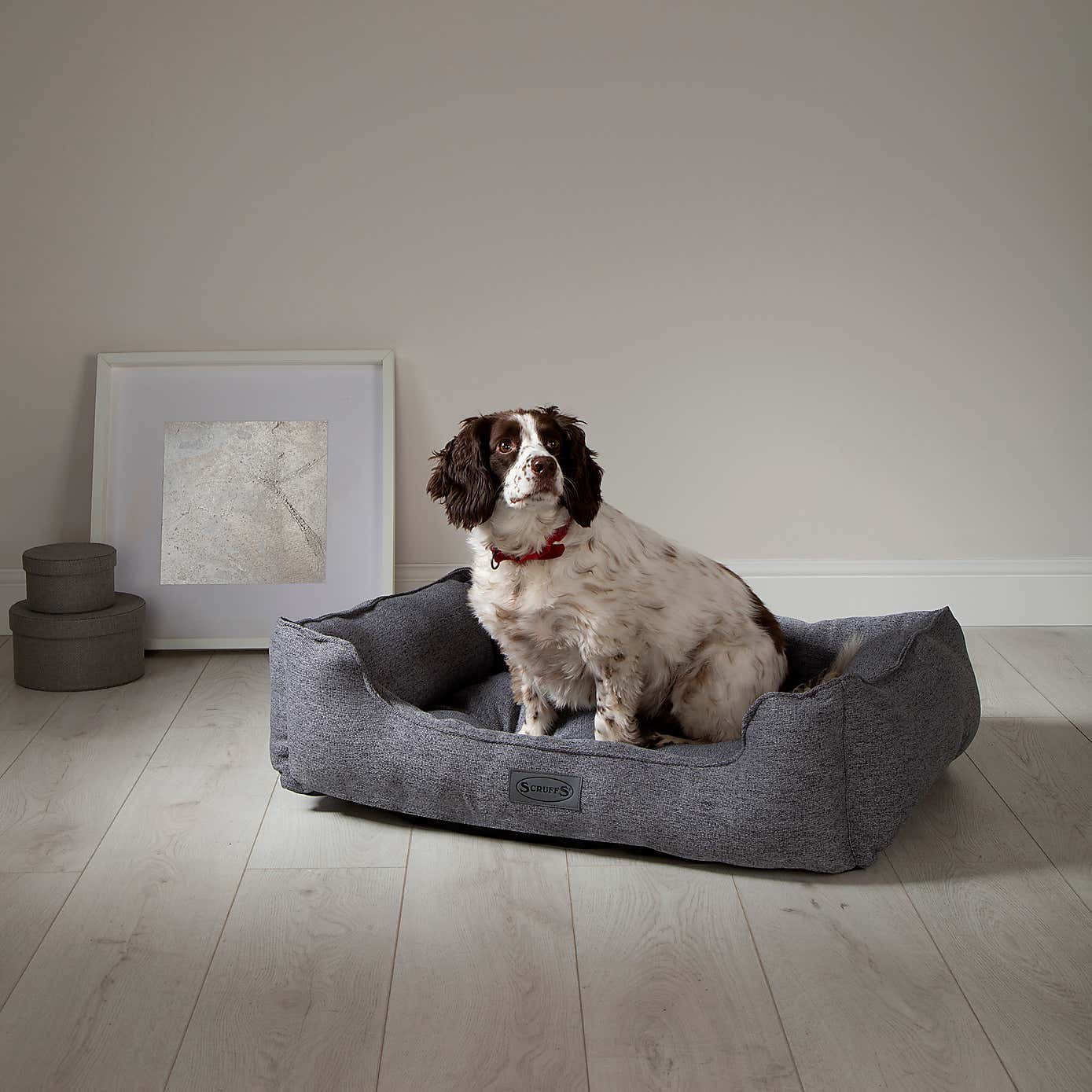 Scruffs Pet Manhattan Box Bed