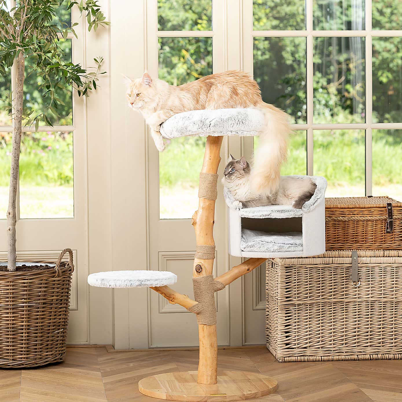 Lords and Labradors The Luxe Cat Scratch Post