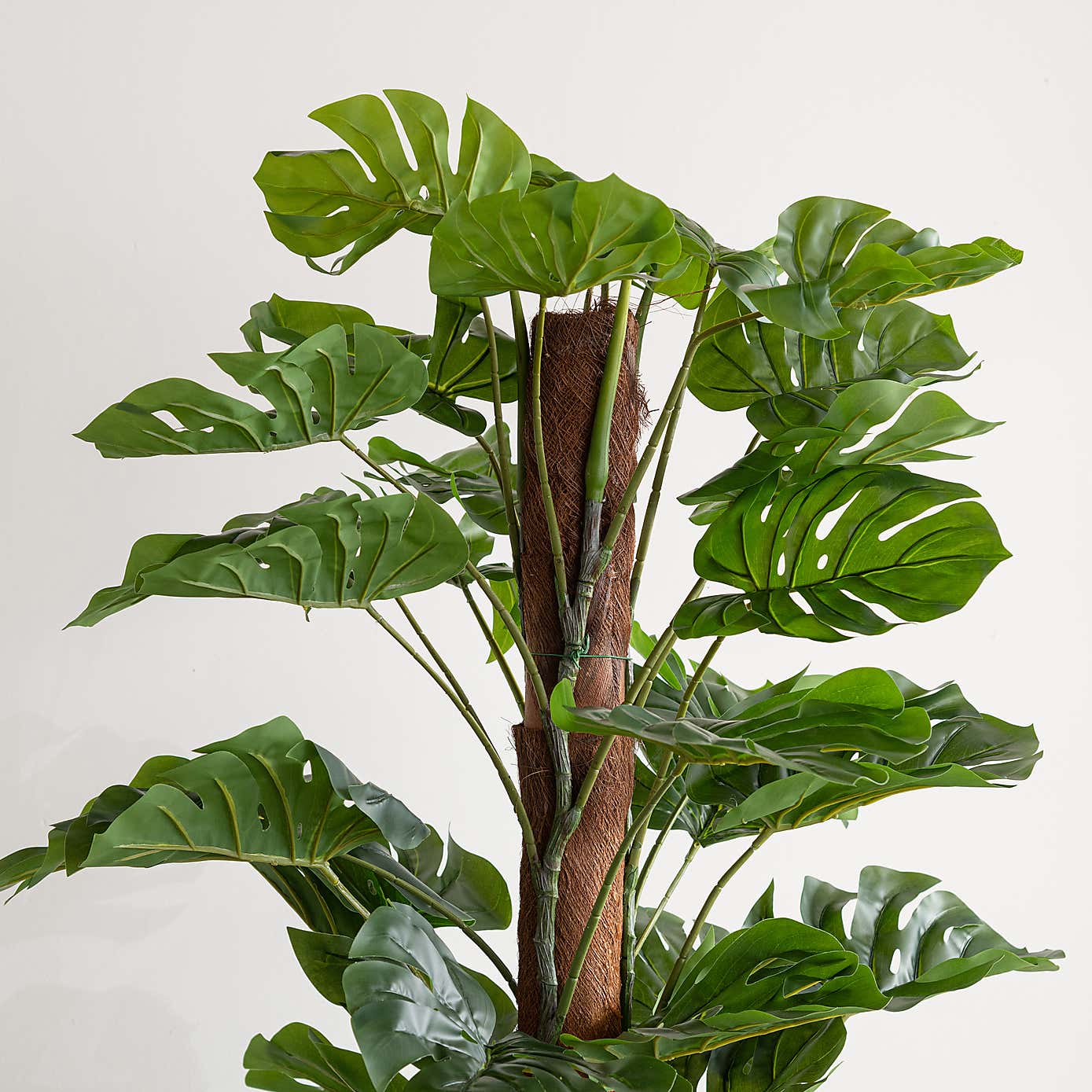 Artificial Monstera Tree in Black Plant Pot