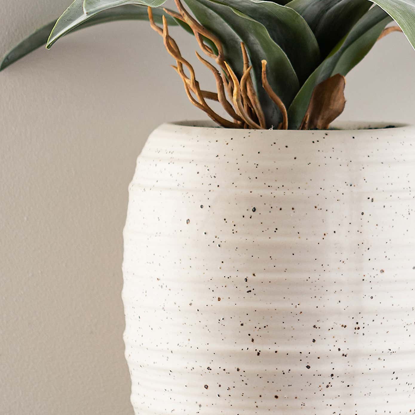 Artificial Dracaena in Ribbed White Plant Pot