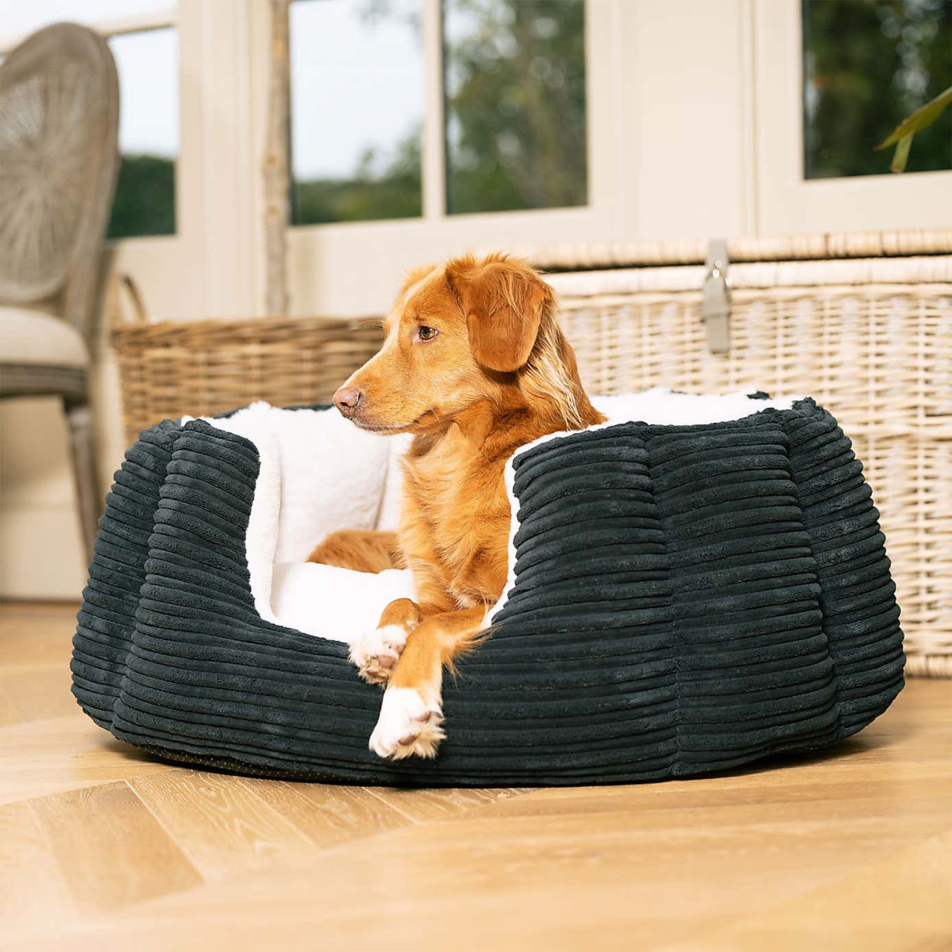 Lords and Labradors High Wall Dog Bed