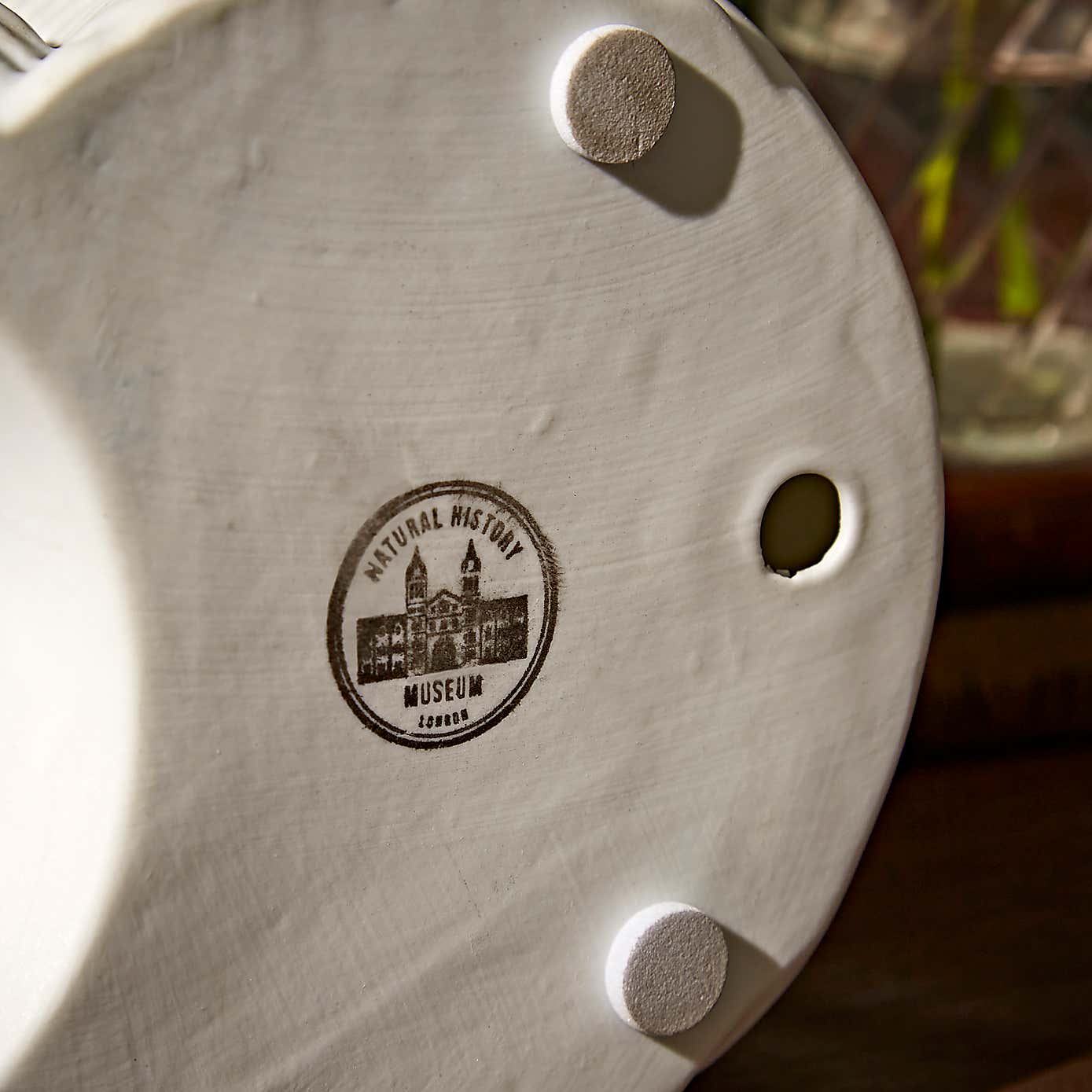 Porcelain Ammonite Lamp