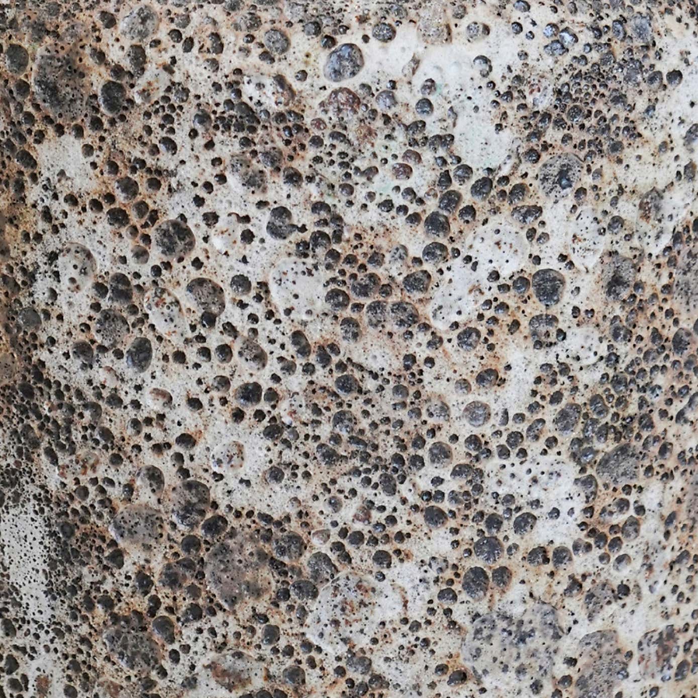 Kew Volcanic Texured Planter