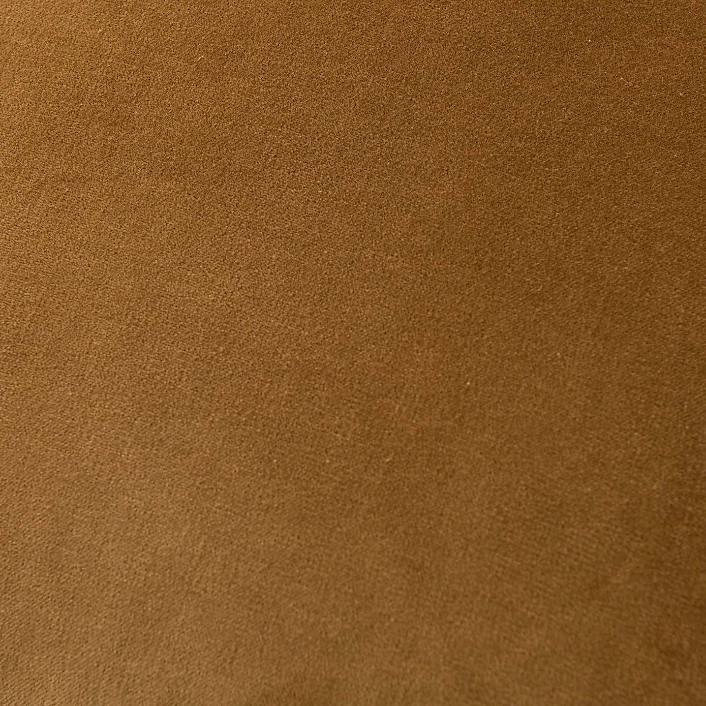 Clara Cotton Velvet Cushion