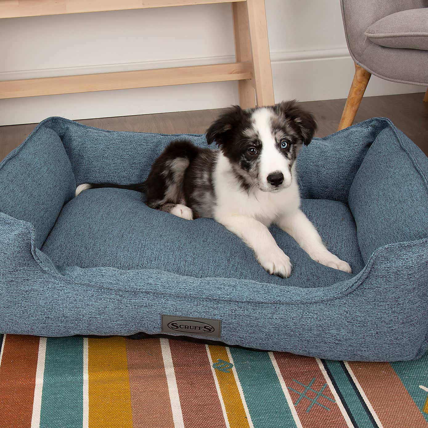 Scruffs Pet Manhattan Box Bed