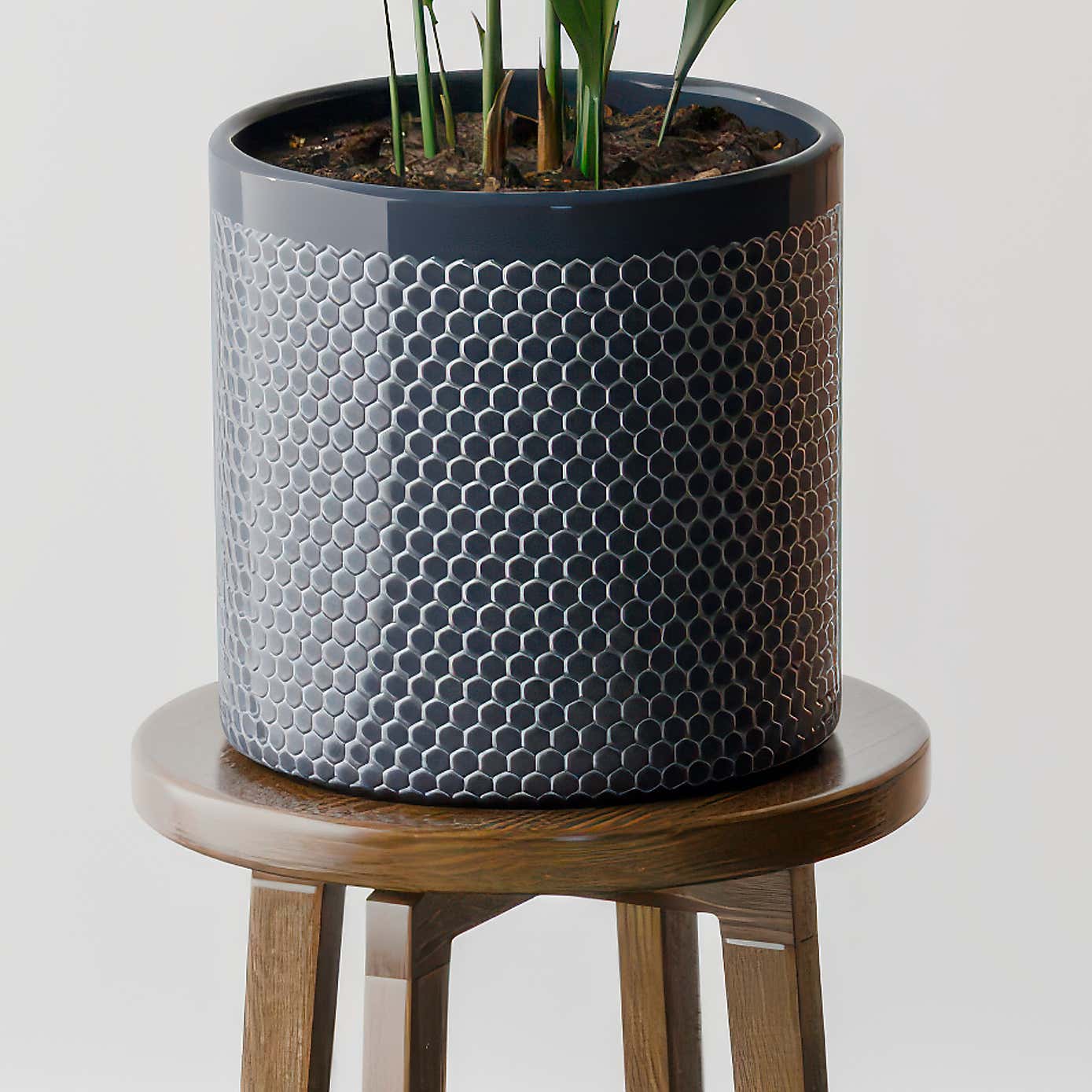 Beards & Daisies Cast Iron House Plant in Capri Pot