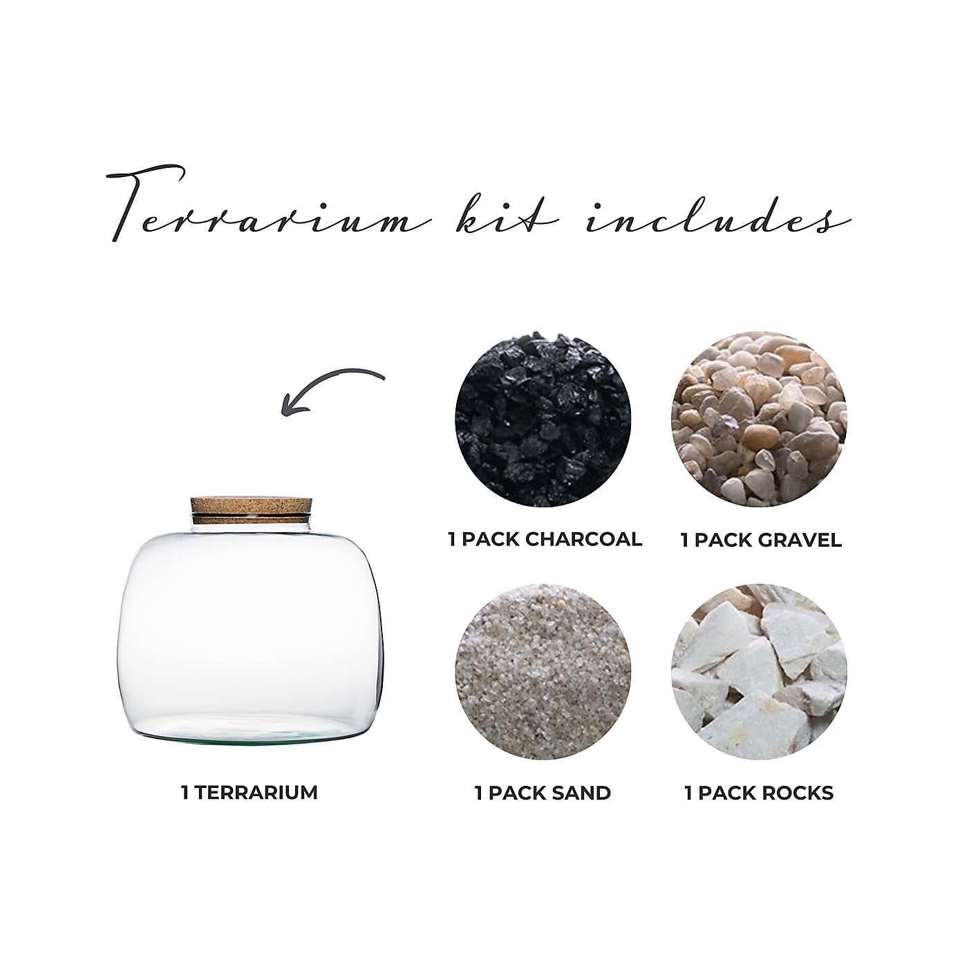 Bowl Shape Large Terrarium DIY Kit