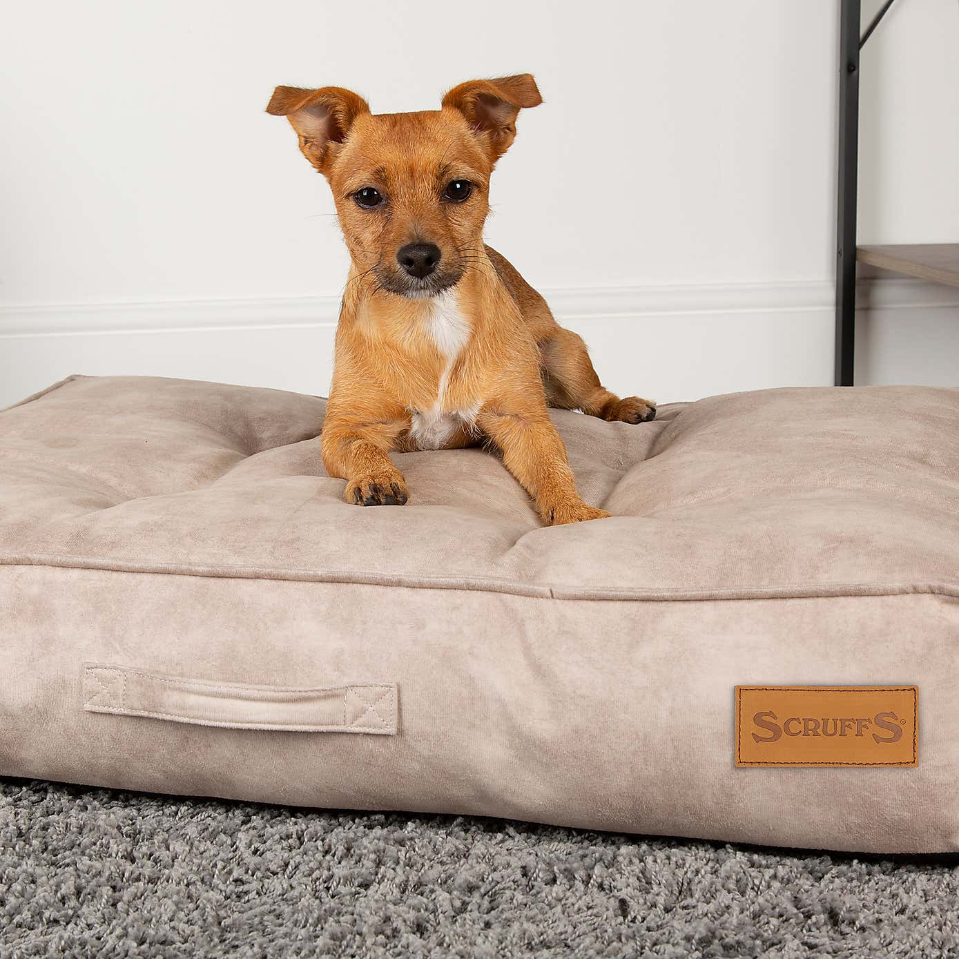 Scruffs Kensington Mattress Pet Bed