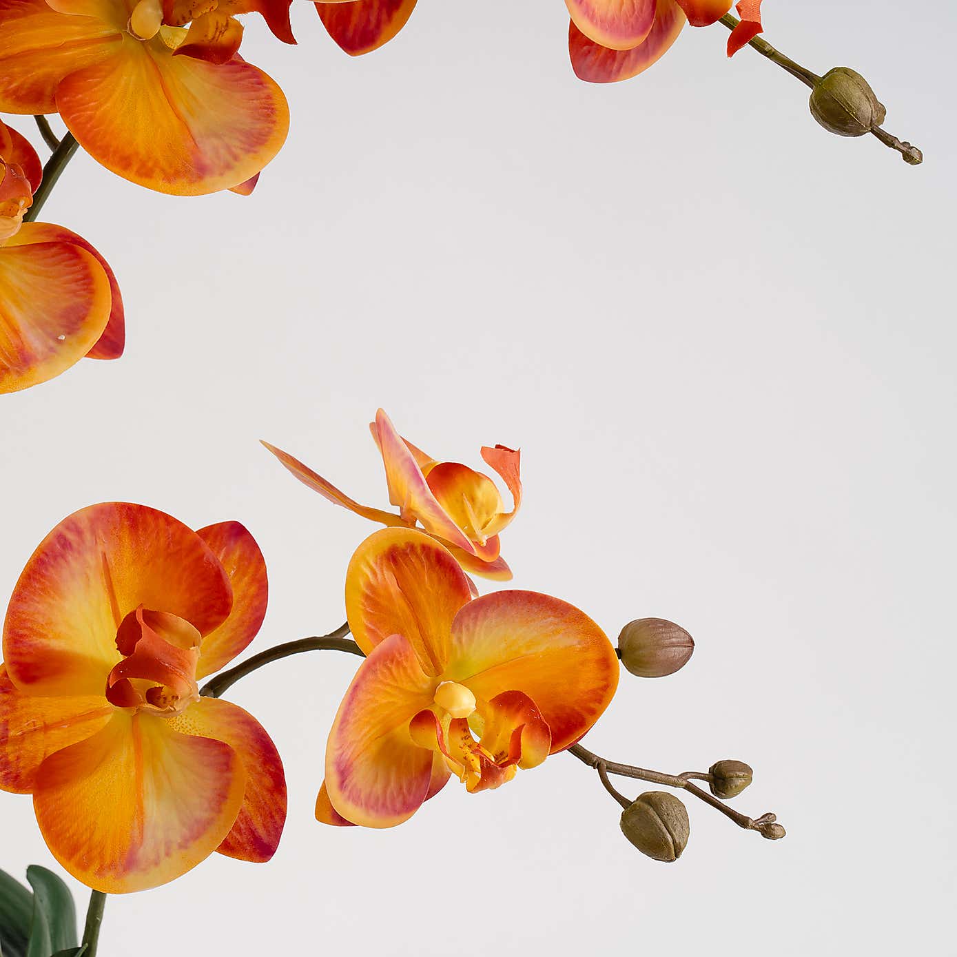 Artificial Real Touch Orange Phalaenopsis Orchid in Ceramic Pot