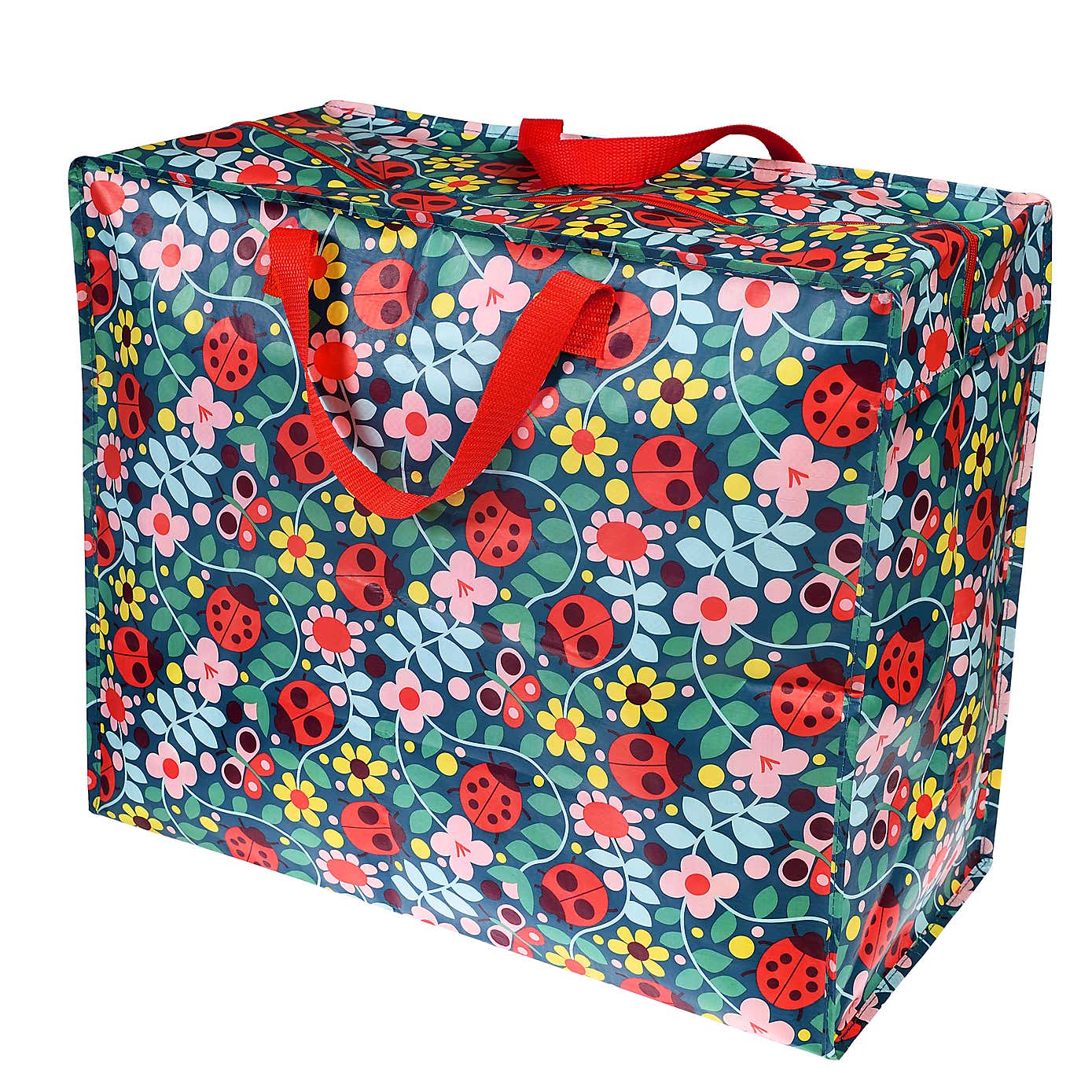 Kids Ladybird Jumbo Storage Bag