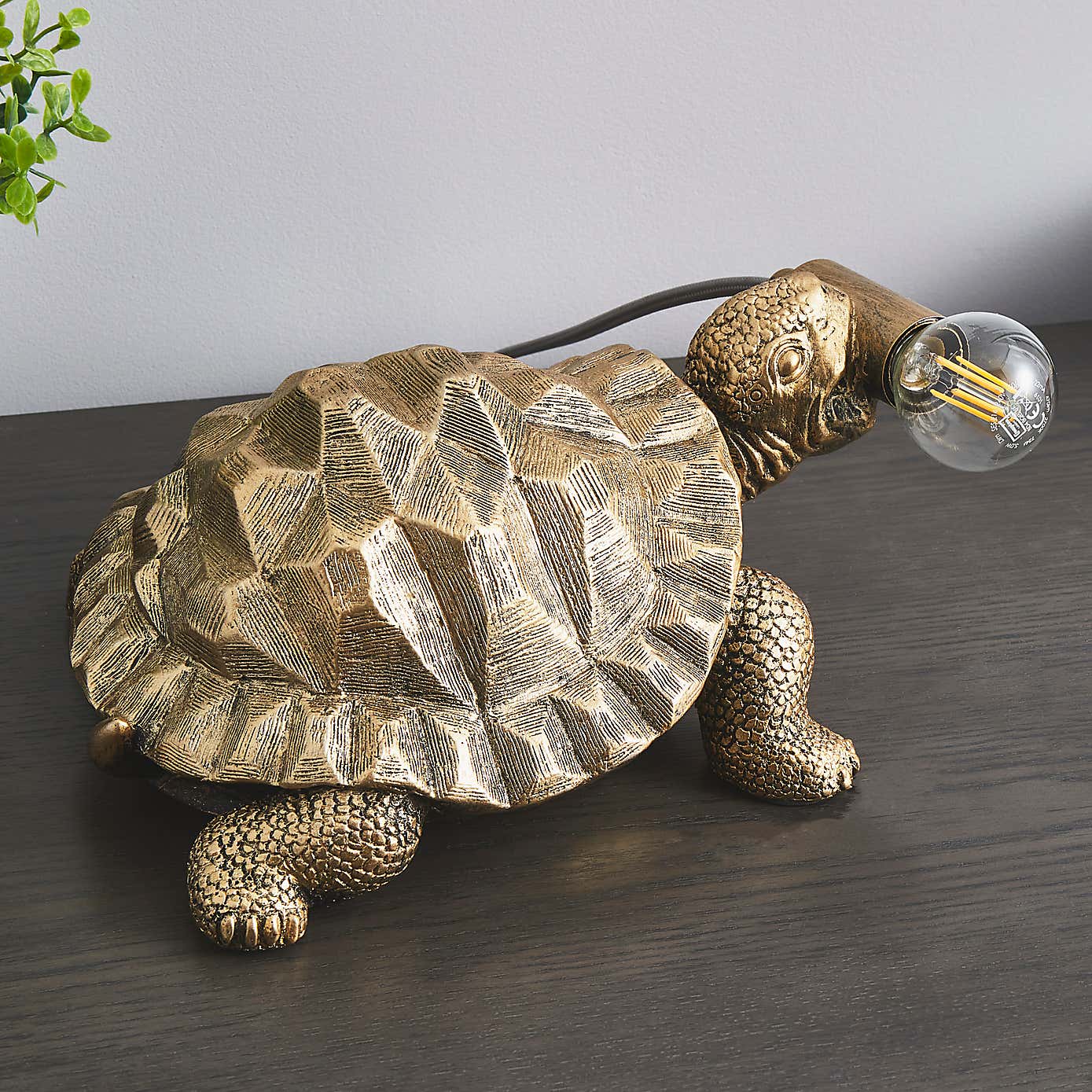 Tafari Tortoise Table Lamp