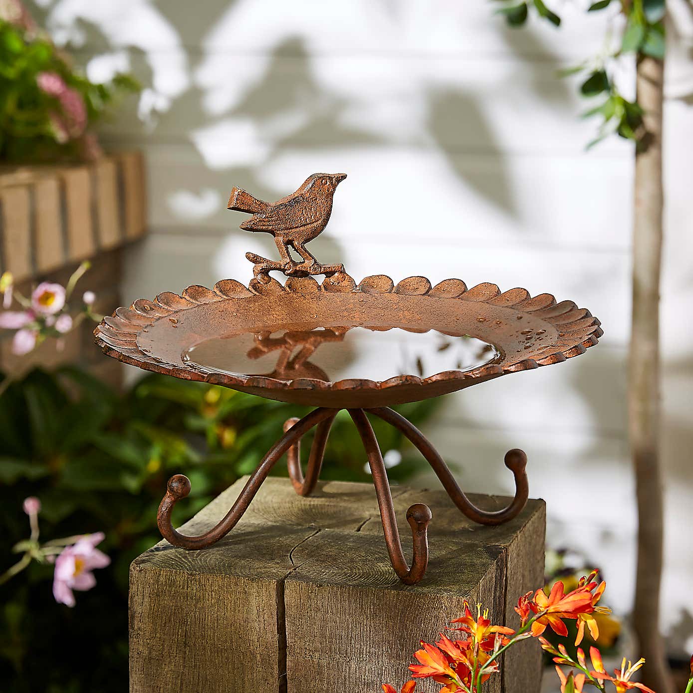 Cast Iron Bird Bath 
