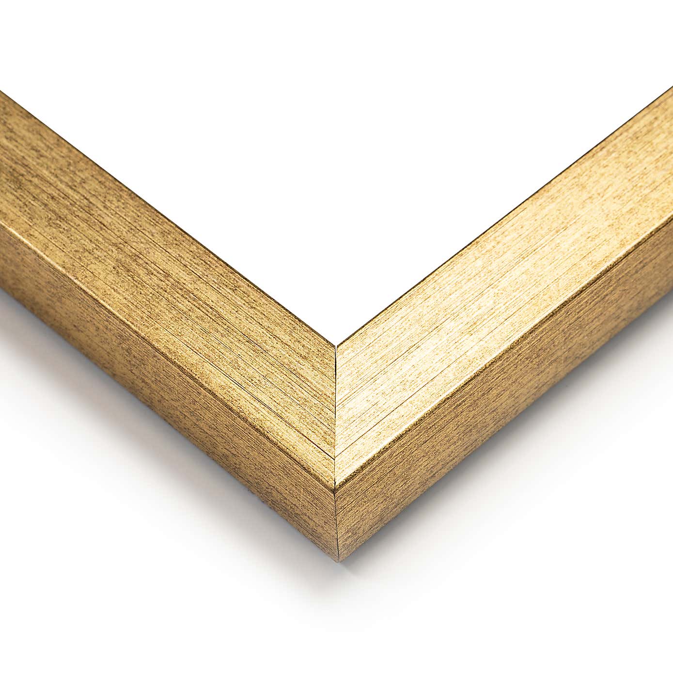 Parrot King I Framed Print