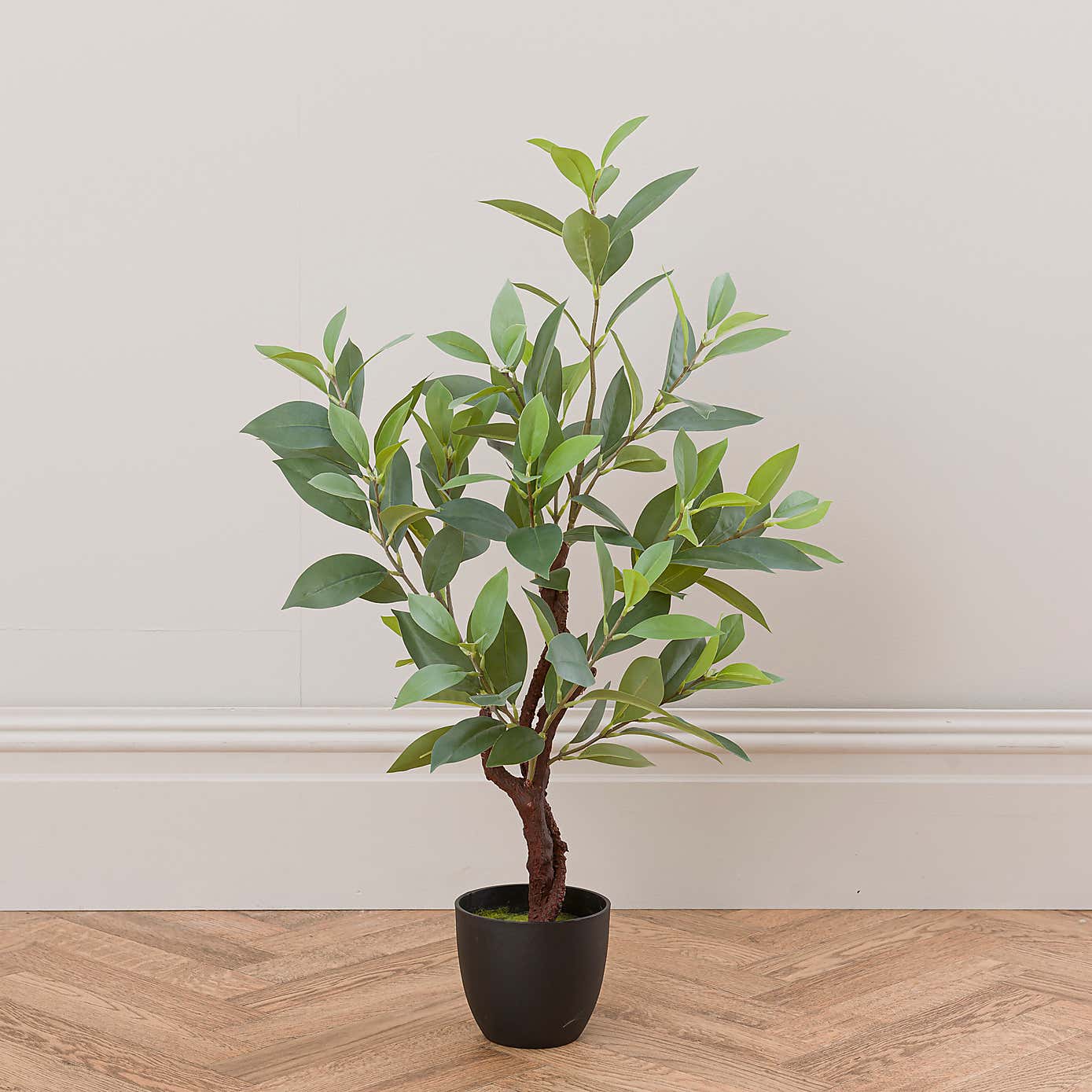 Artificial Sweet Bay Magnolia in Black Plastic Plant Pot