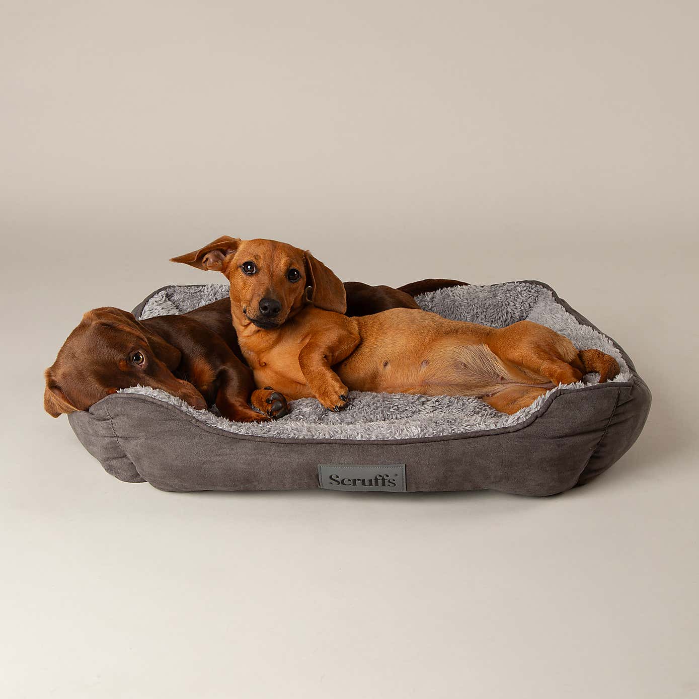 Scruffs Pet Cosy Box Bed