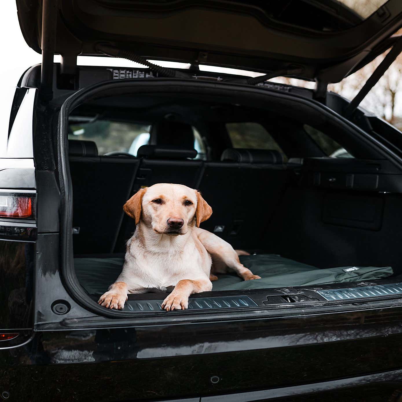 Danish Design County Standard Dog Duvet