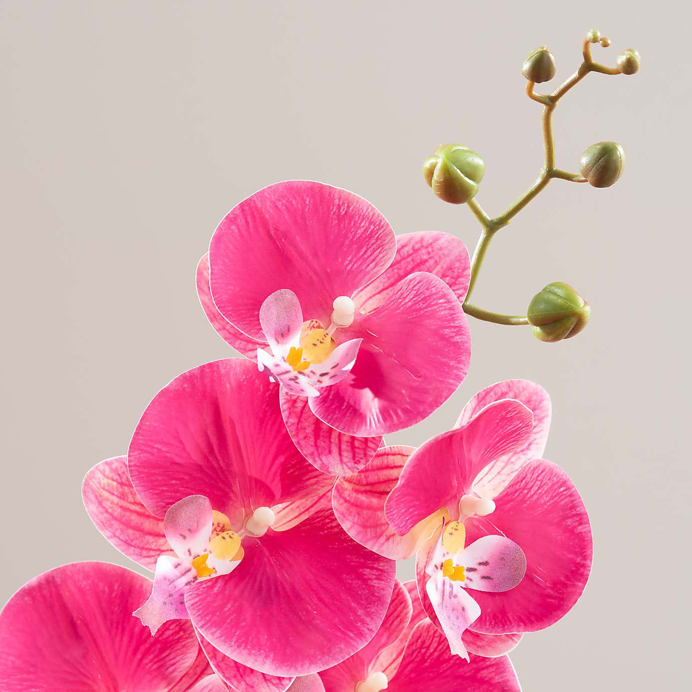 Artificial Orchid Stem