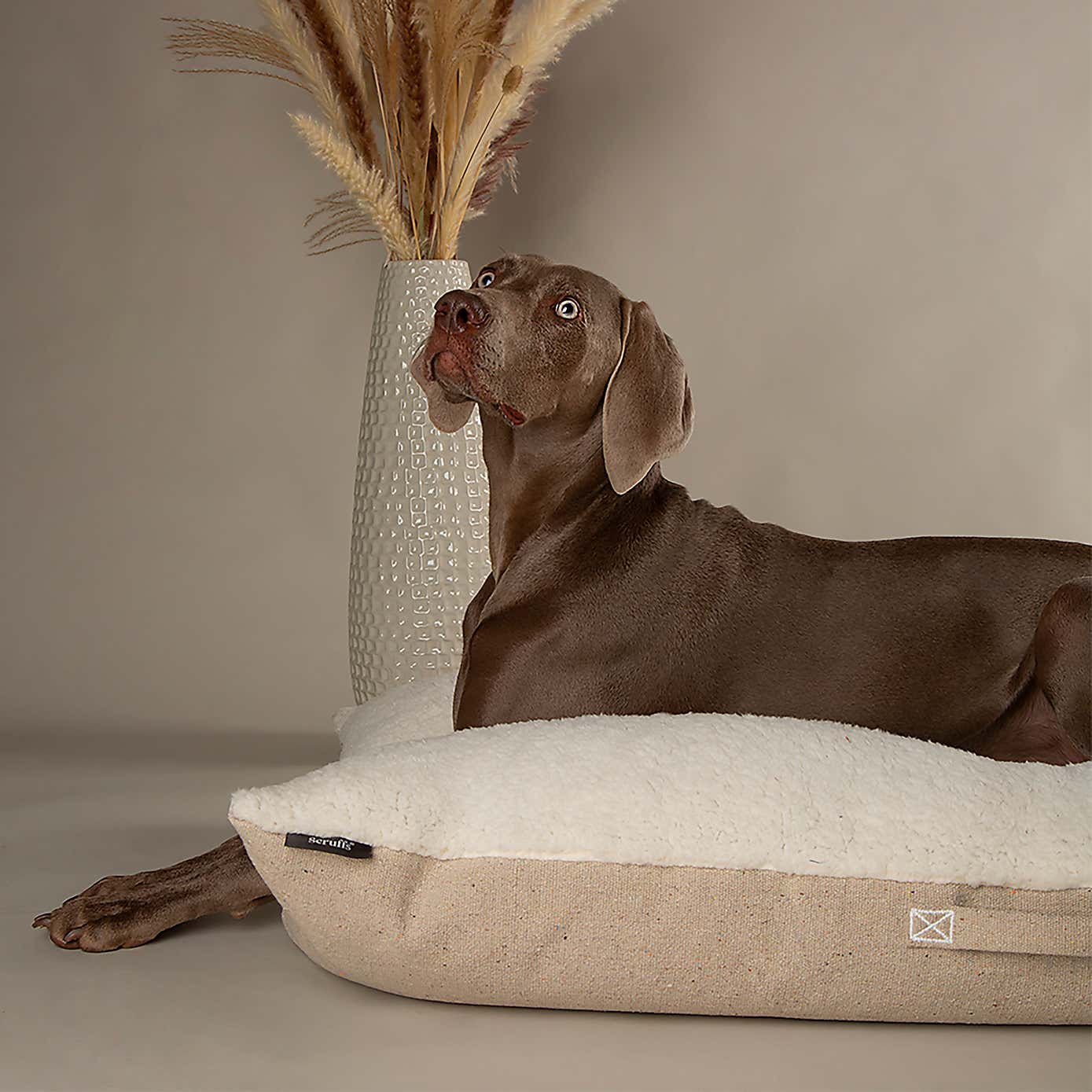 Scruffs 100% Recycled Eden Dog Pillow