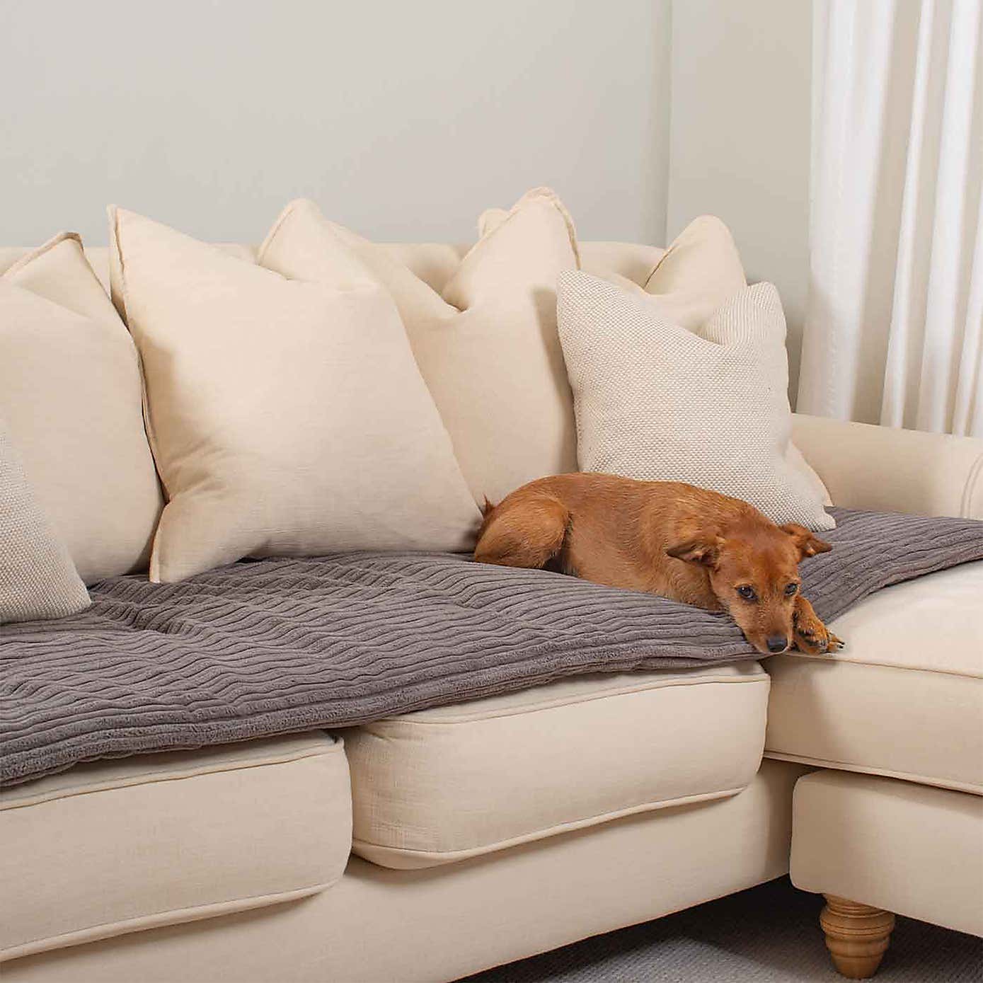 Lords and Labradors Essentials Pet Sofa Topper