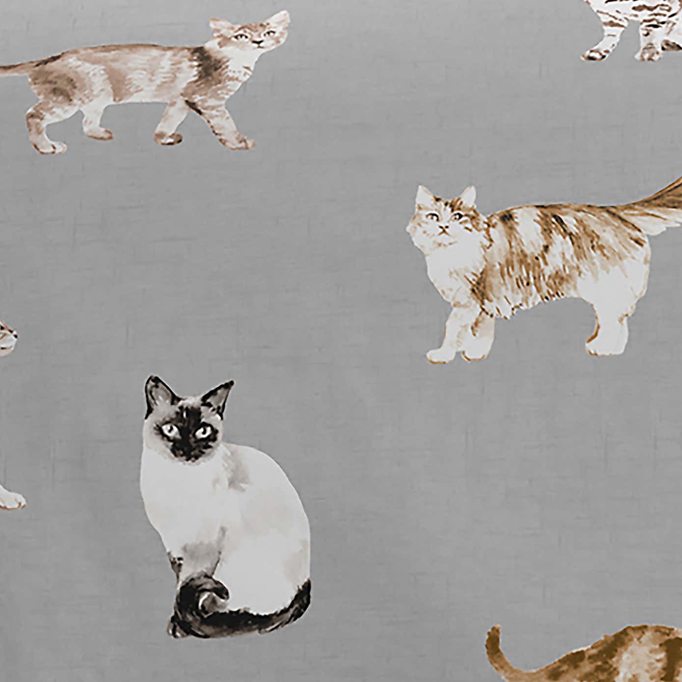 Cats Polycotton Duvet Cover & Pillowcase Set