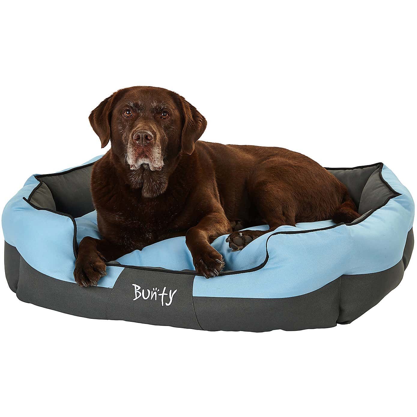 Bunty Pets Anchor Pet Bed