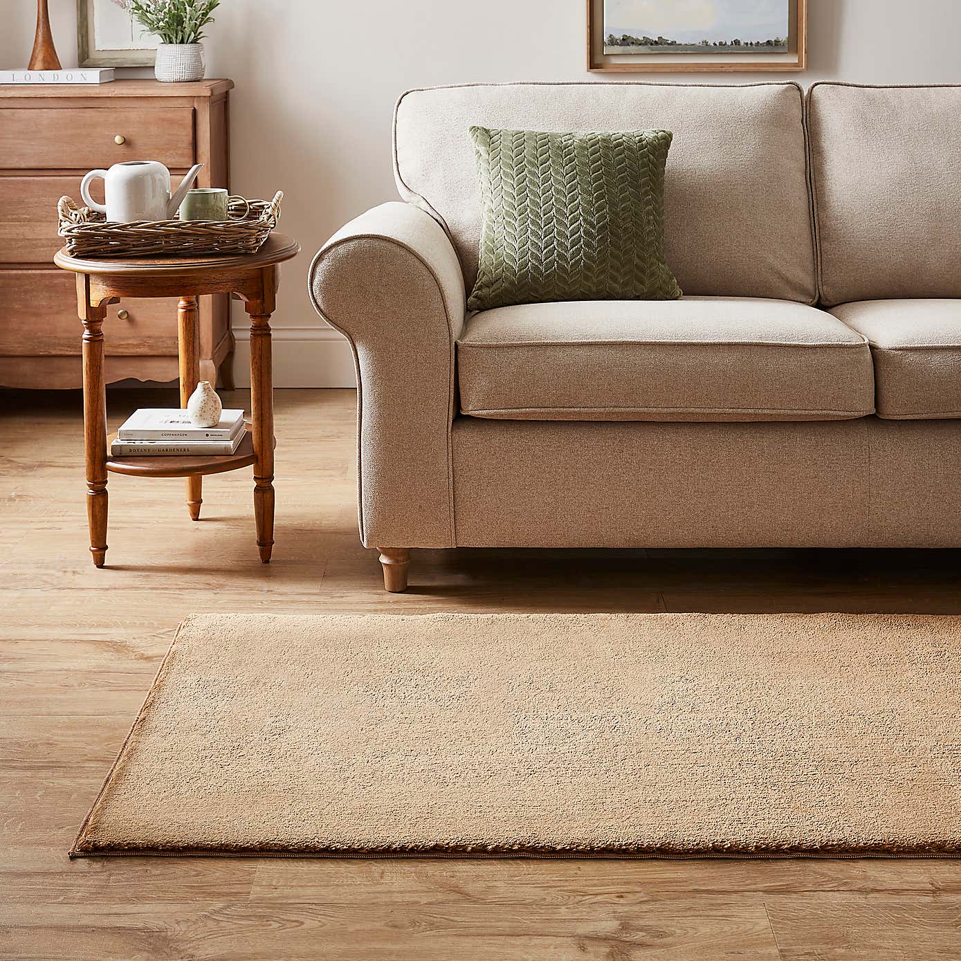 Plush Washable Shag Pile Rug