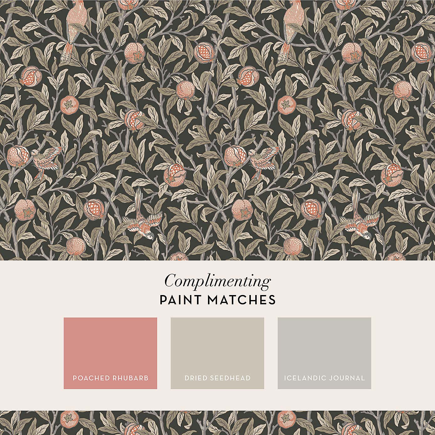 Bird Pomegranate Wallpaper