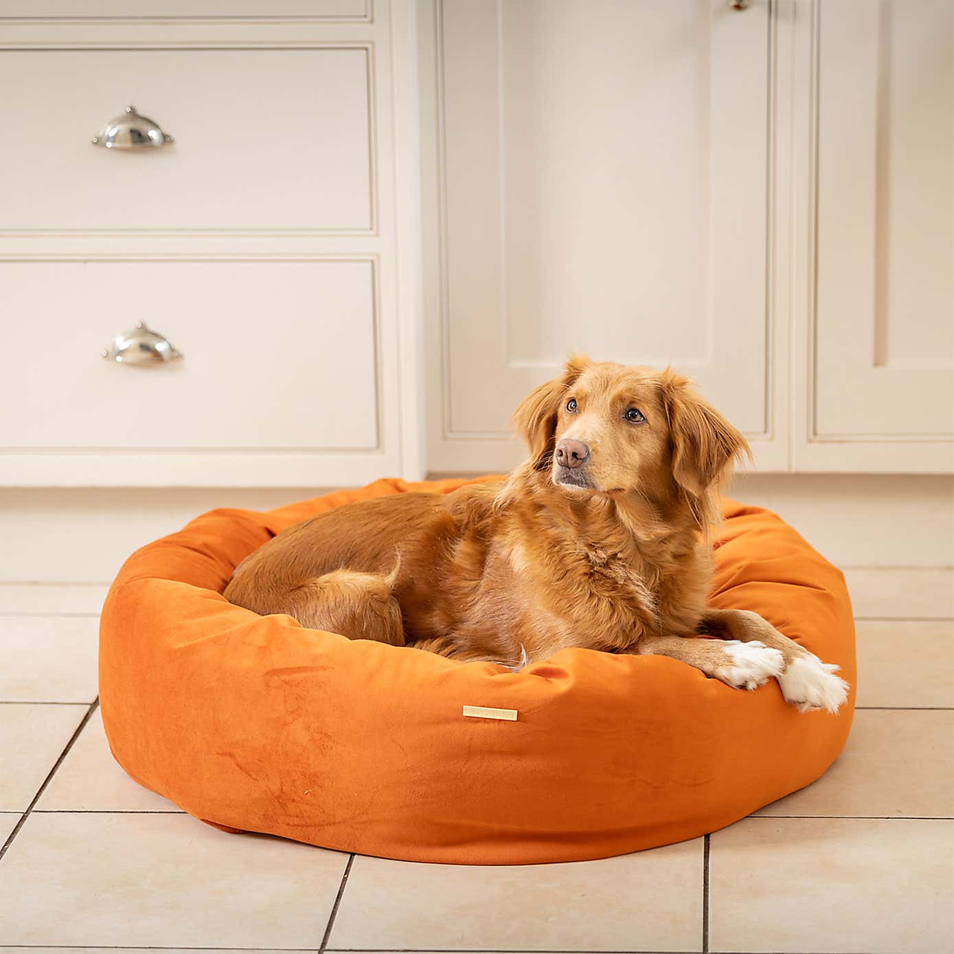 Lords and Labradors Velvet Donut Dog Bed