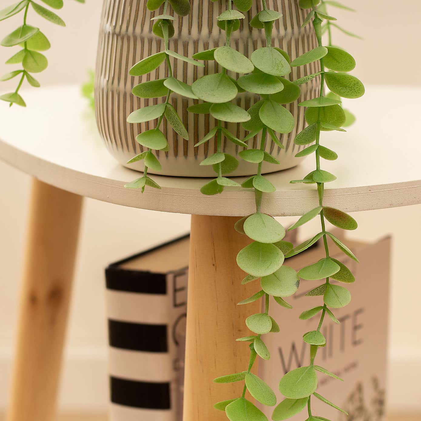 Artificial Set of 2 Spider and Eucalyptus Plants in Ribbed Ceramic Plant Pots