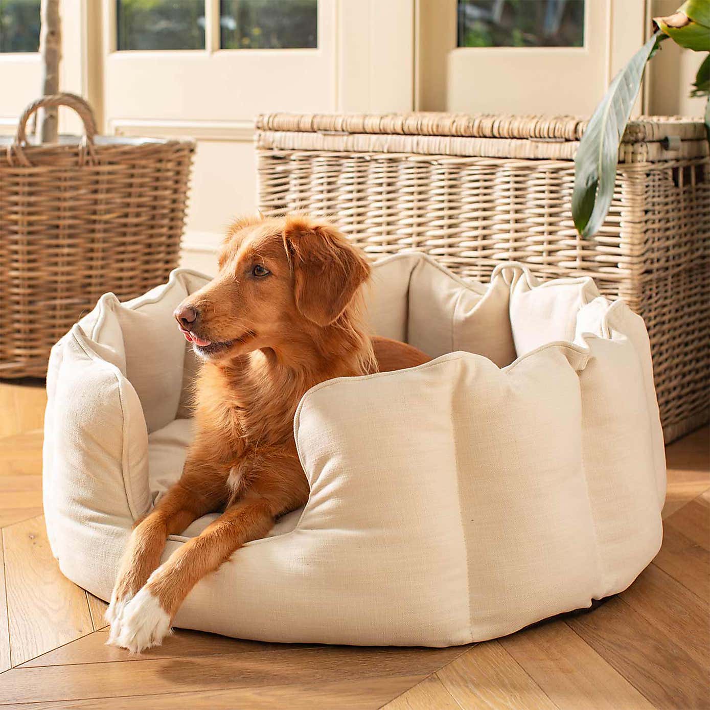 Lords and Labradors Savanna High Wall Dog Bed
