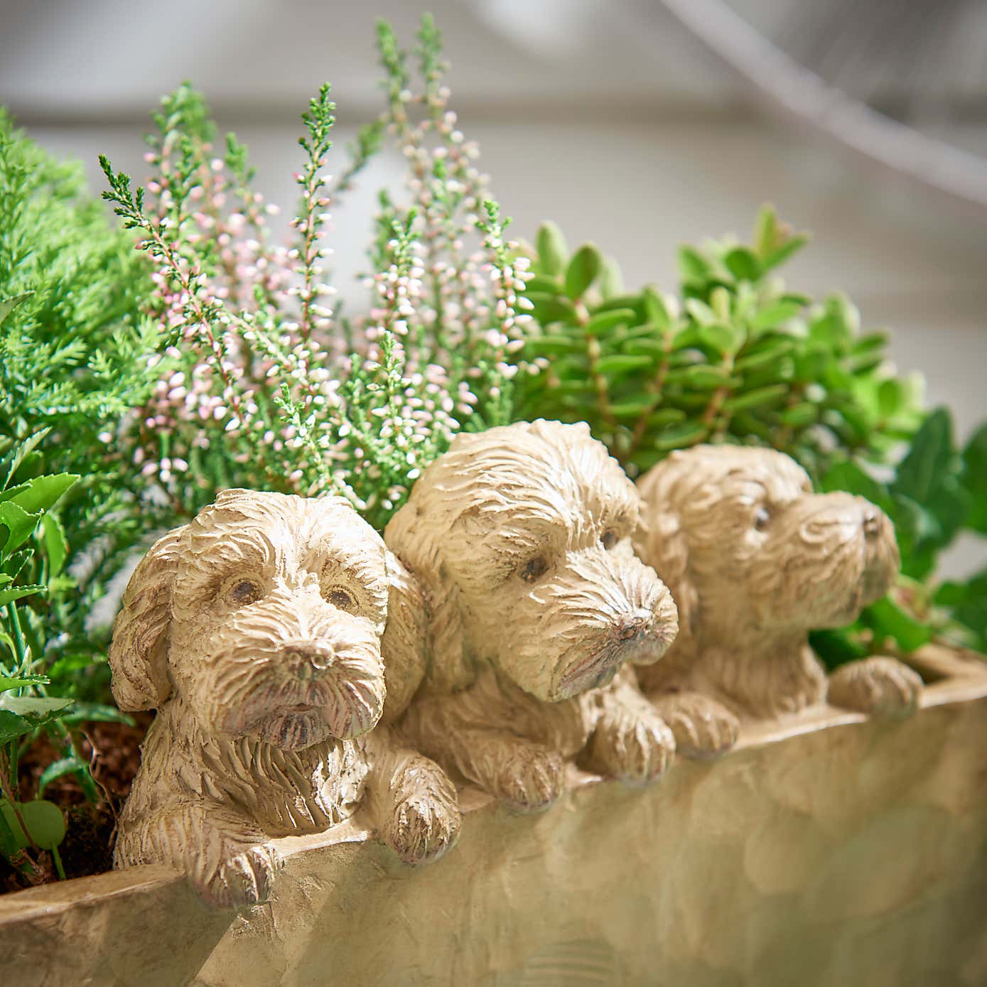Set of 3 Cockapoo Planter